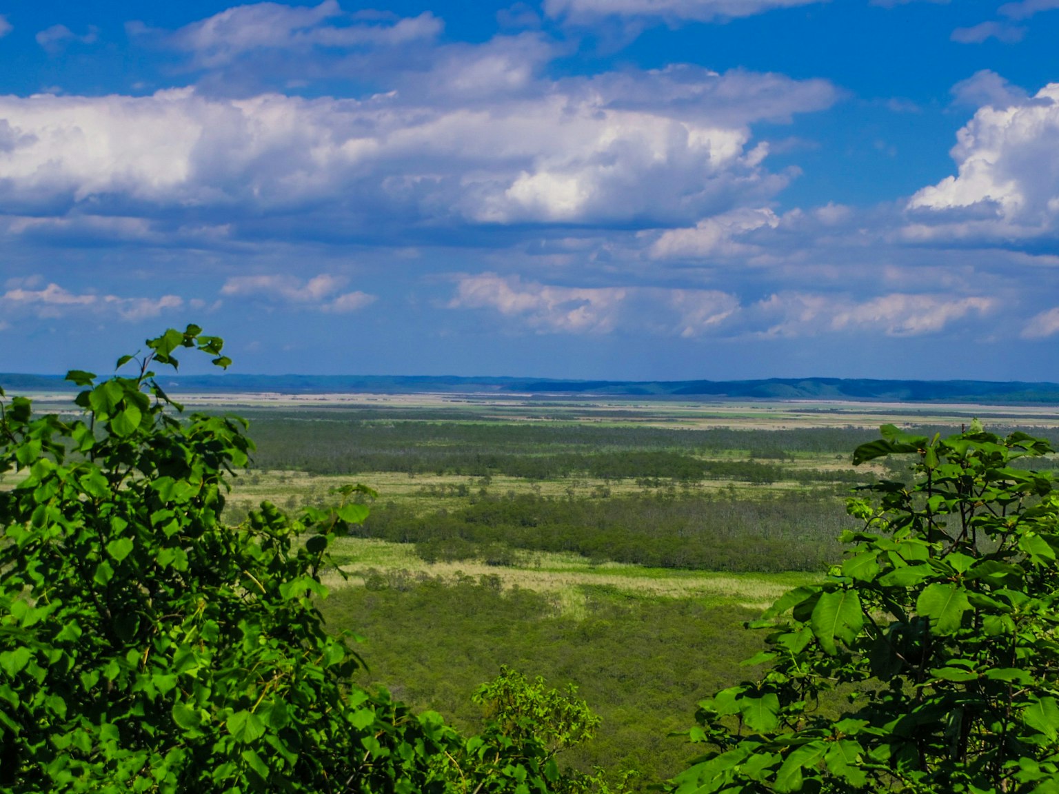 Landschaft mit blauem Himmel und weißen Wolken grüne Bäume im Vordergrund und weite Wiesen in der Ferne