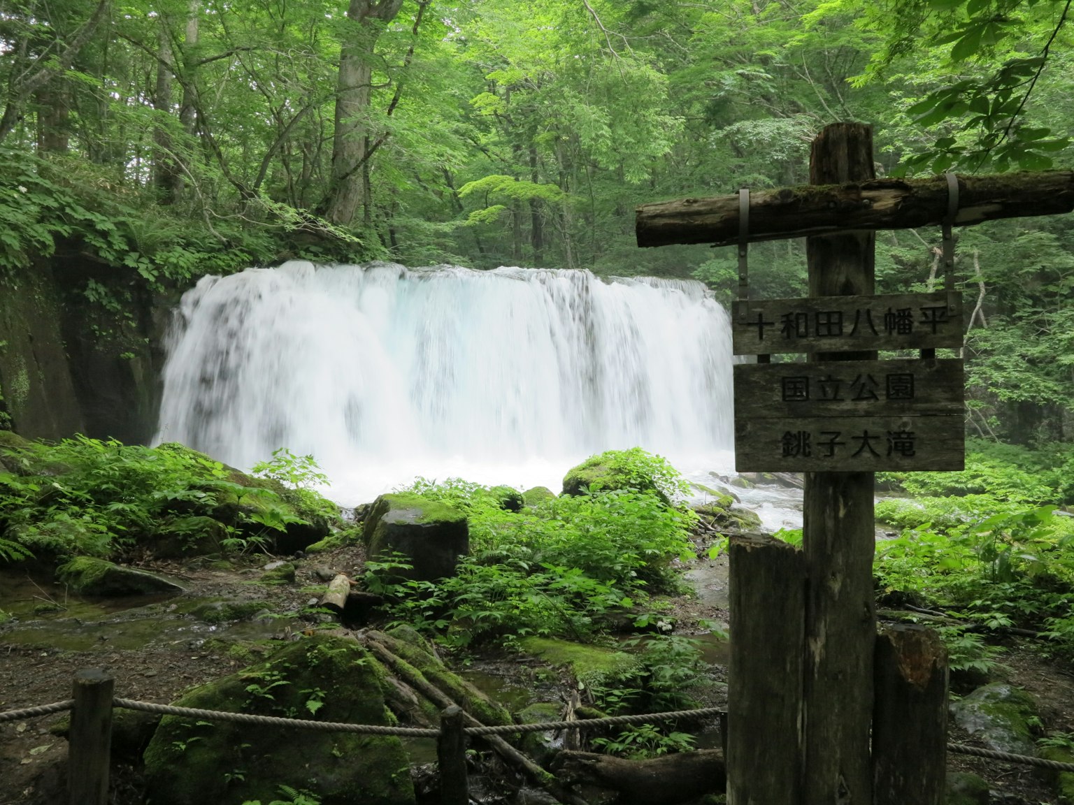 Ein Wasserfall umgeben von üppigem grünem Wald mit einem Holzschild