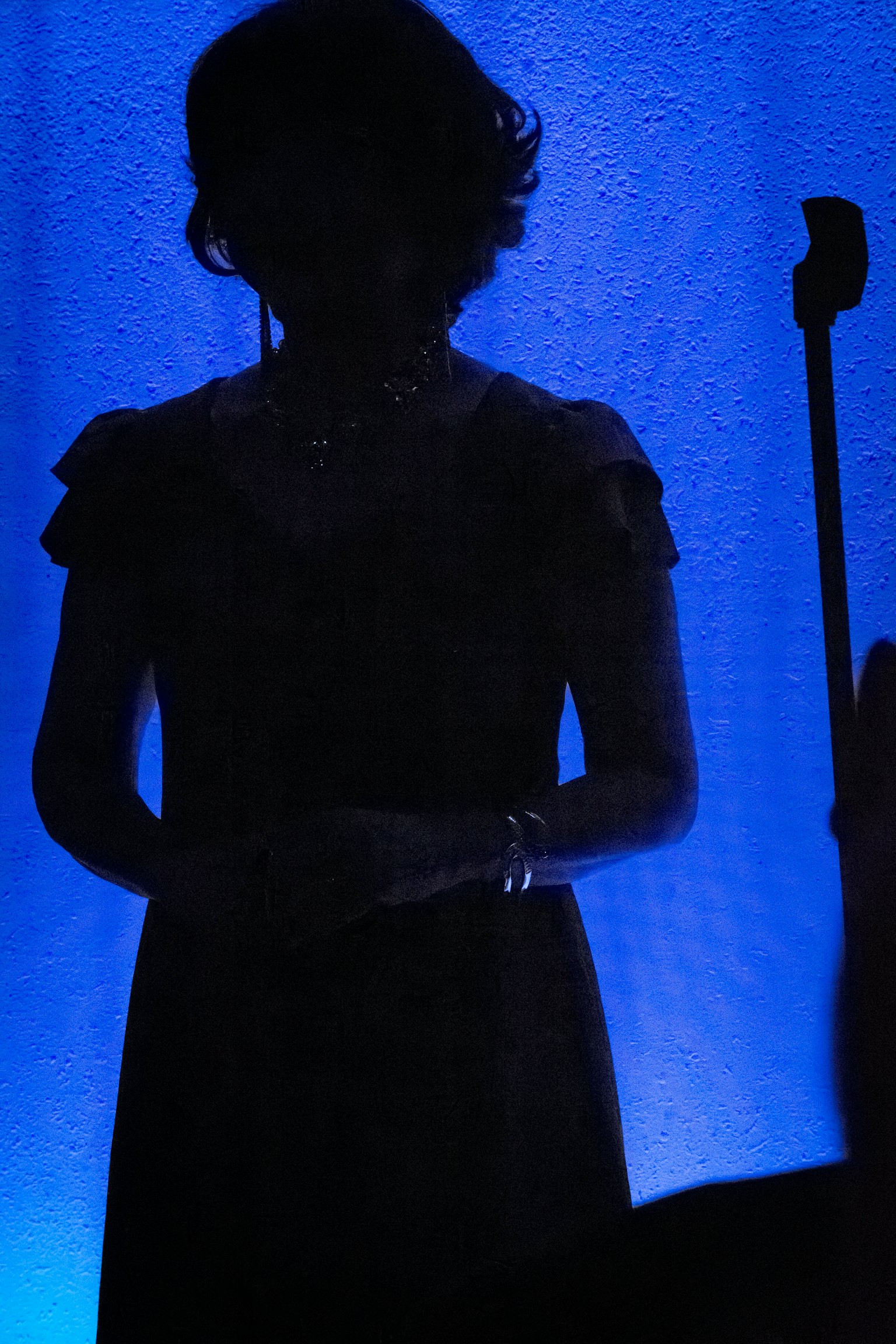 Siluet seorang wanita berdiri di depan latar belakang biru