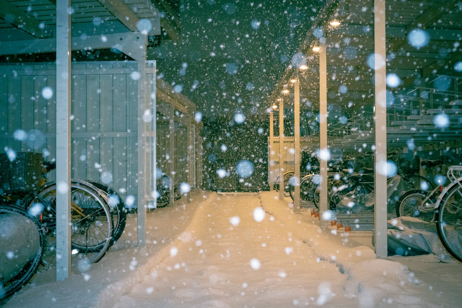 photo-E0DKMhcBD0mygo7HLyAy-image