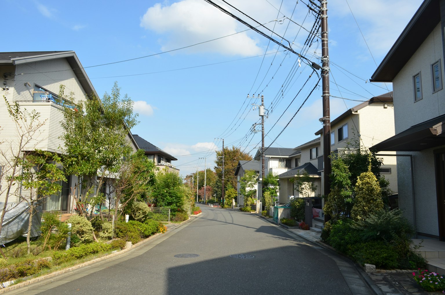 Residential street scene under blue sky with green gardens and utility poles