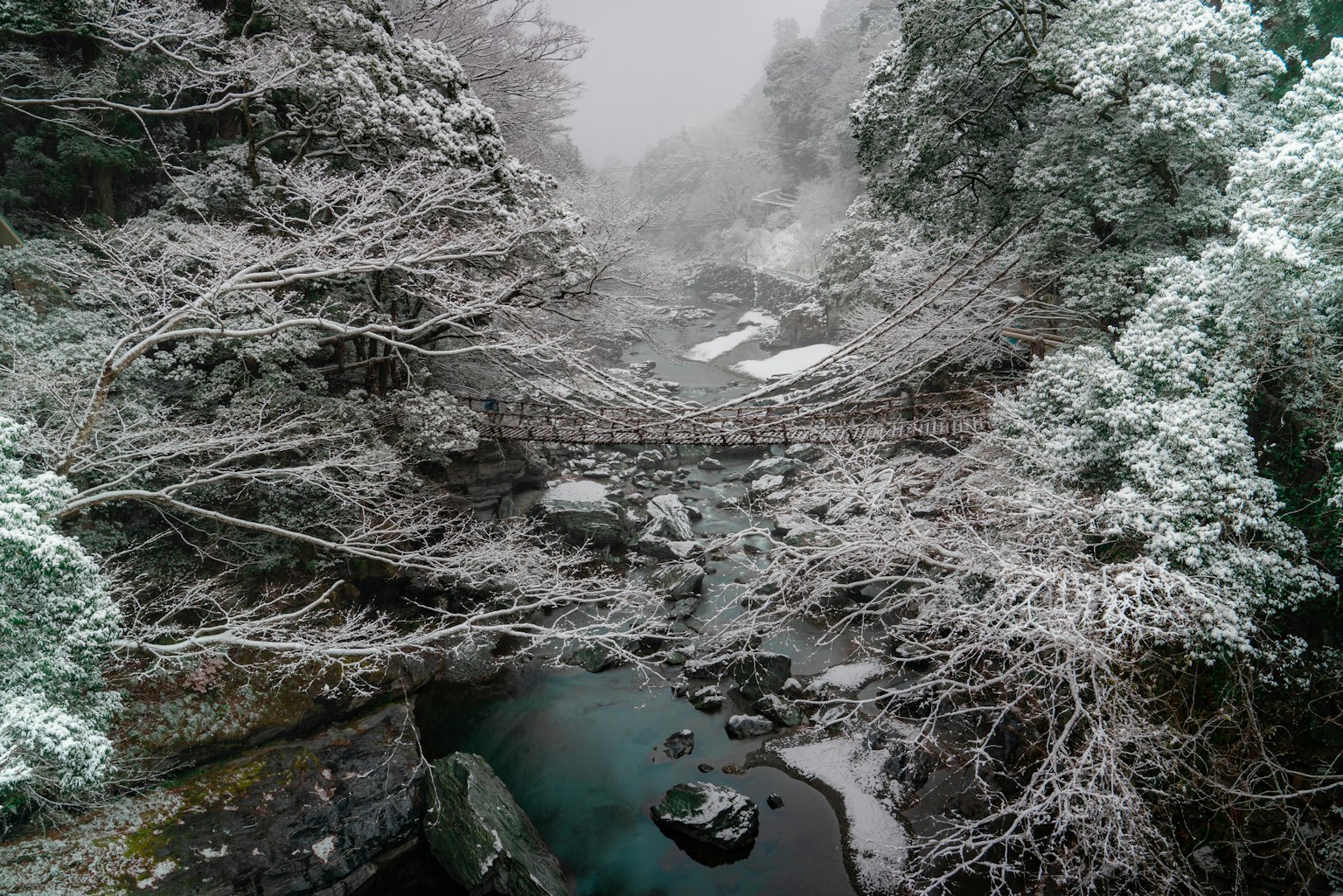 雪覆蓋的河流和樹木的風景