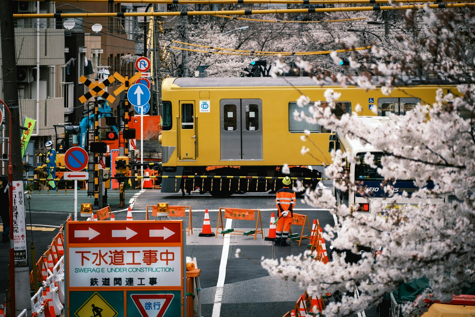 Kereta kuning melintas di lokasi konstruksi dengan bunga sakura