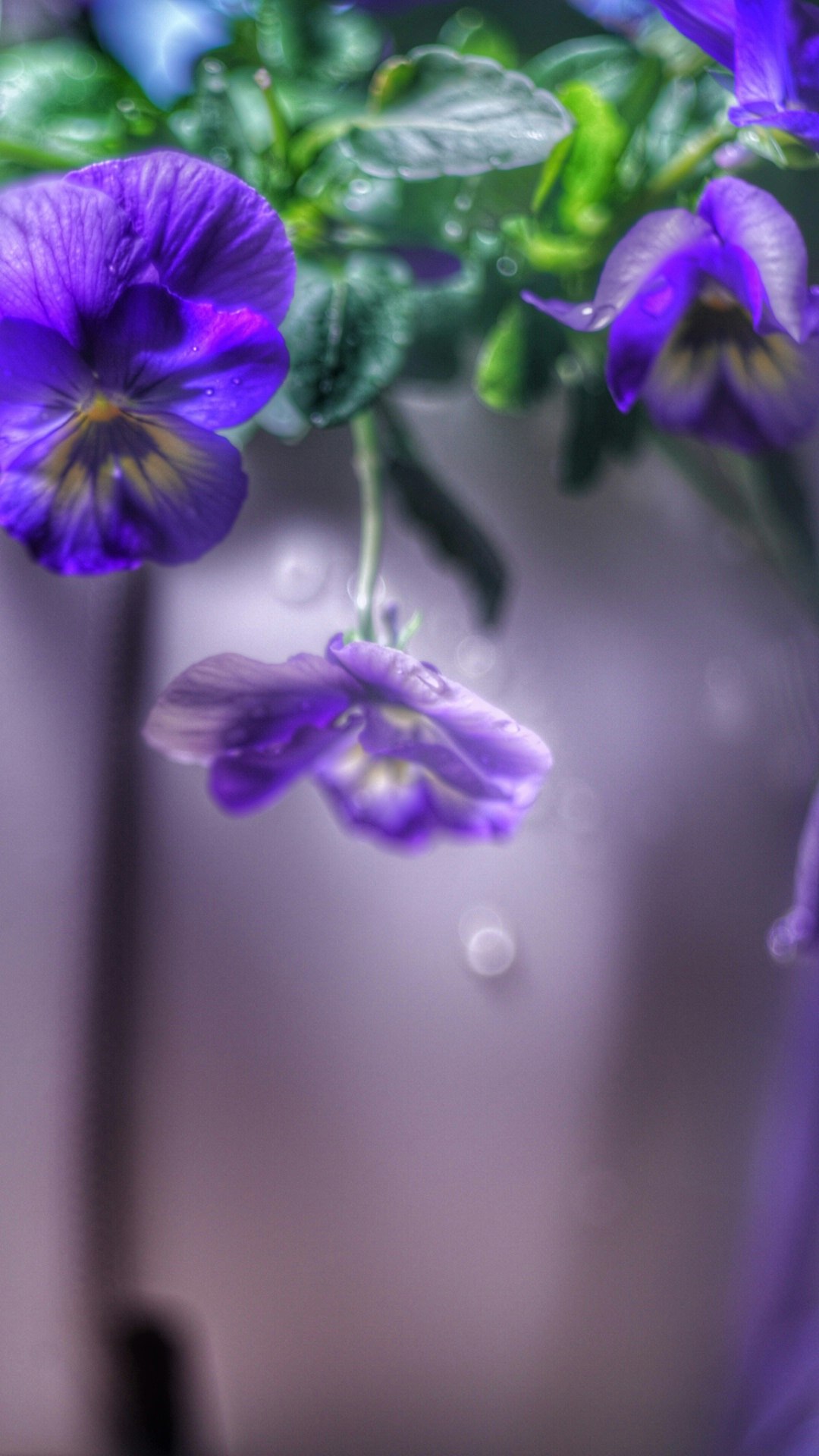 紫のビオラの花と雫の玉ボケのある花瓶のクローズアップ