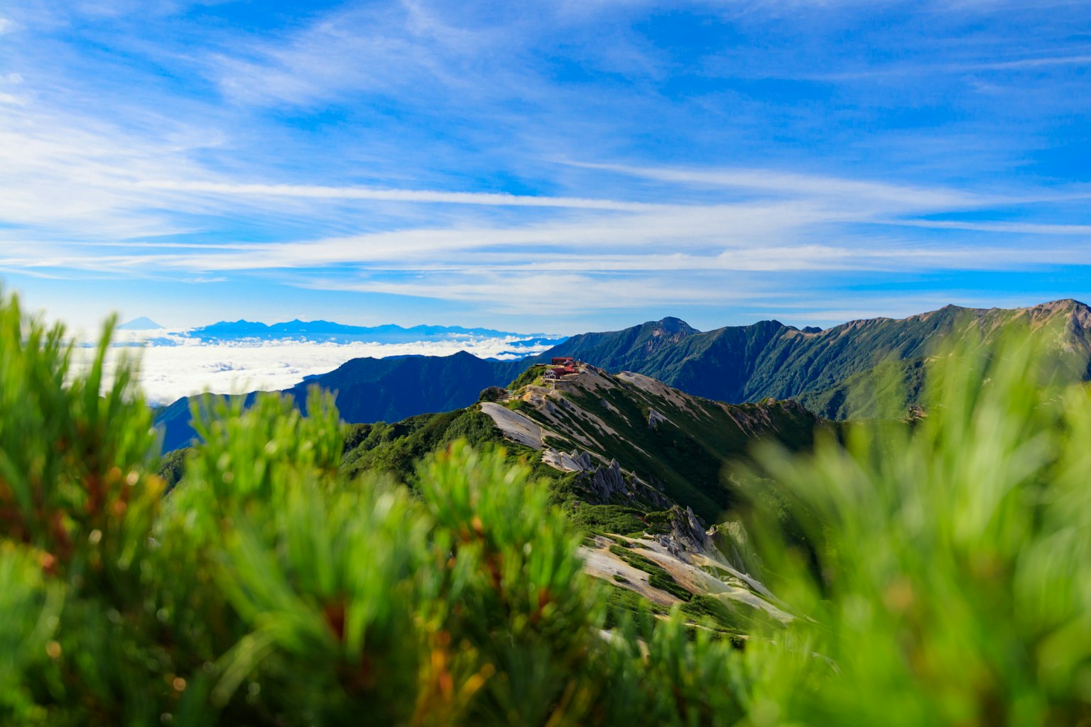 Malersiches Berglandschaft unter einem schönen blauen Himmel mit grünem Laub im Vordergrund und sichtbaren fernen Bergen