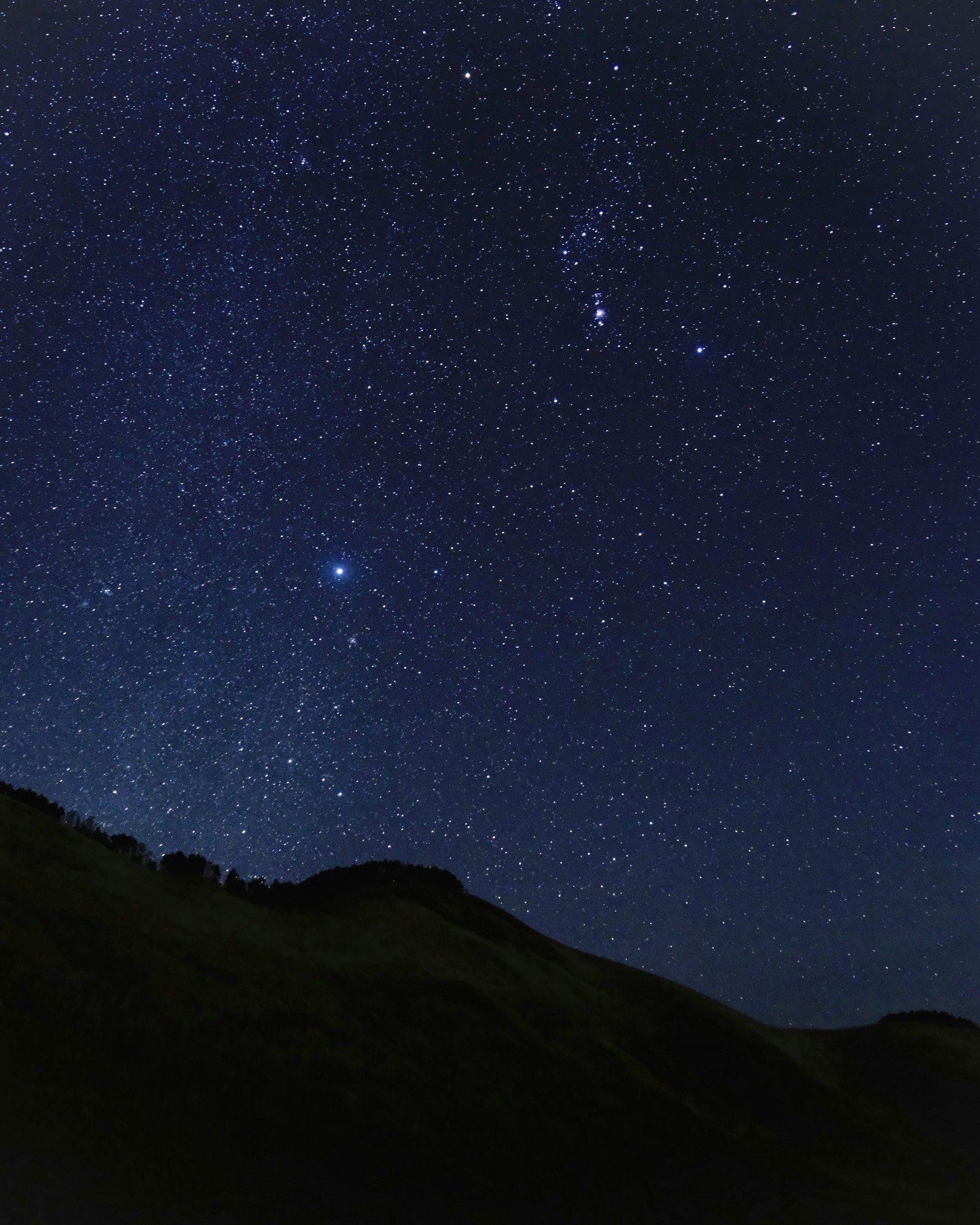 曽爾高原の夜空に広がるオリオン座の星々