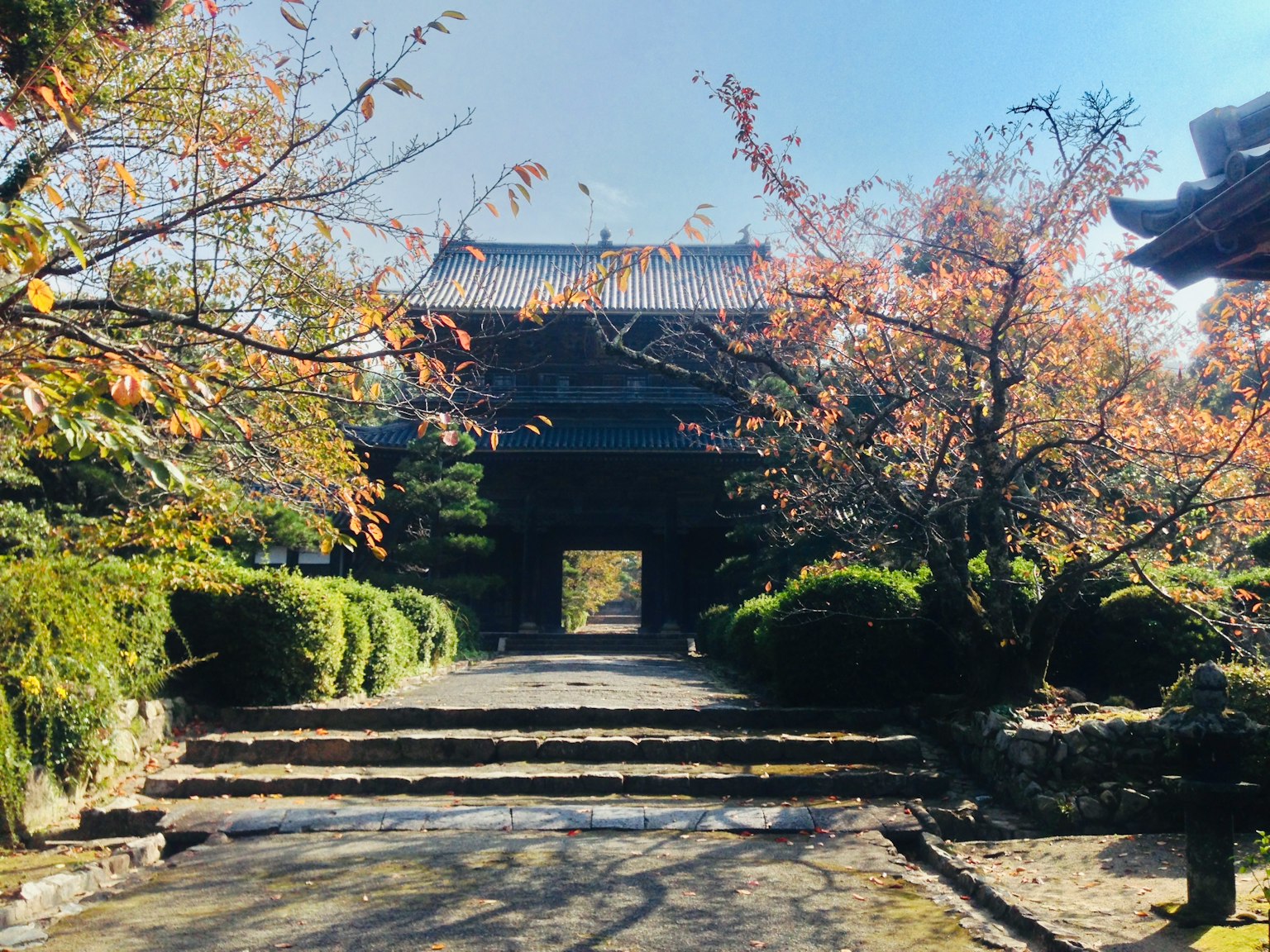 Ingresso di un tempio giapponese circondato da alberi di ciliegio autunnali e scale di pietra