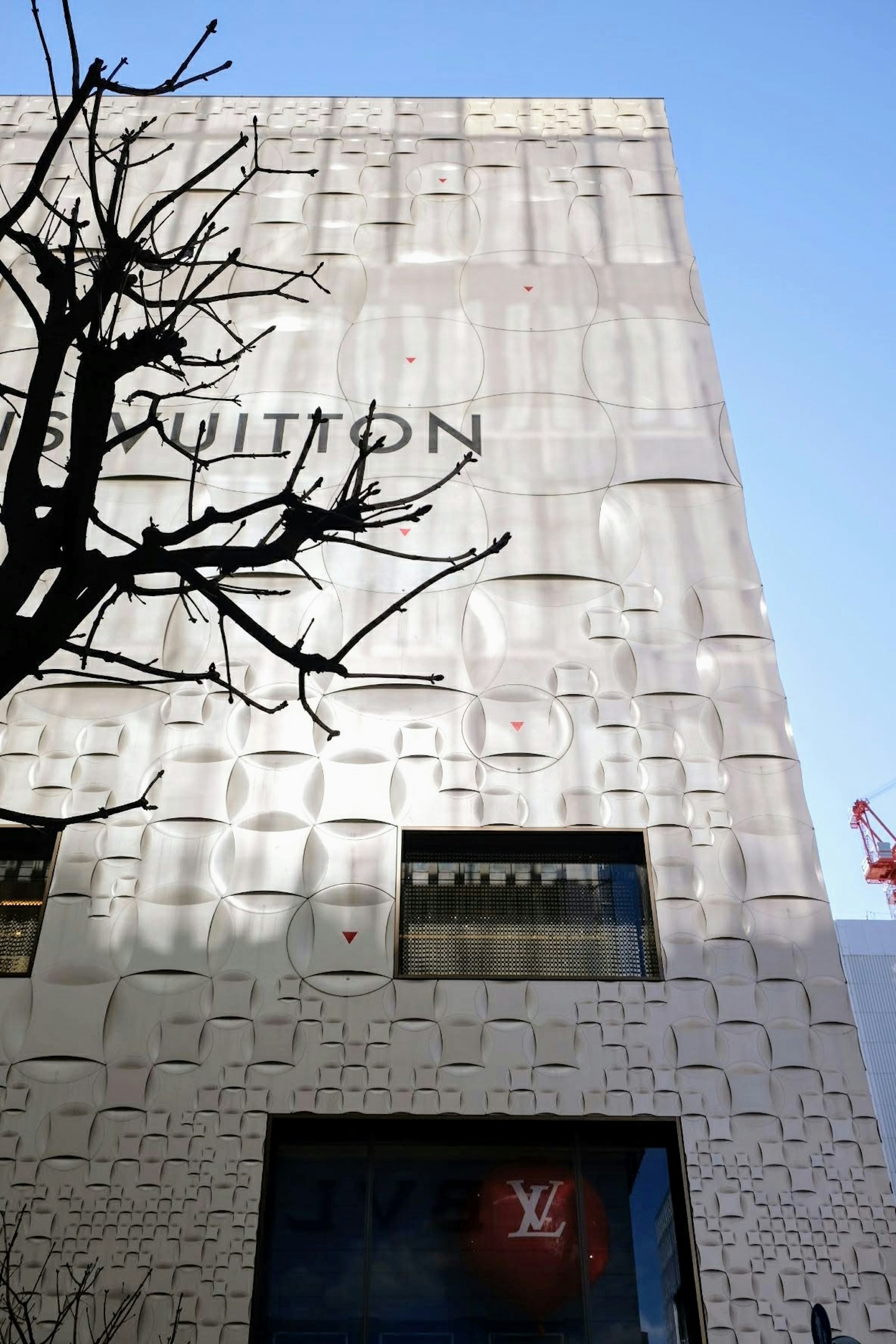 Exterior view of a Louis Vuitton store featuring a textured wall and tree silhouette