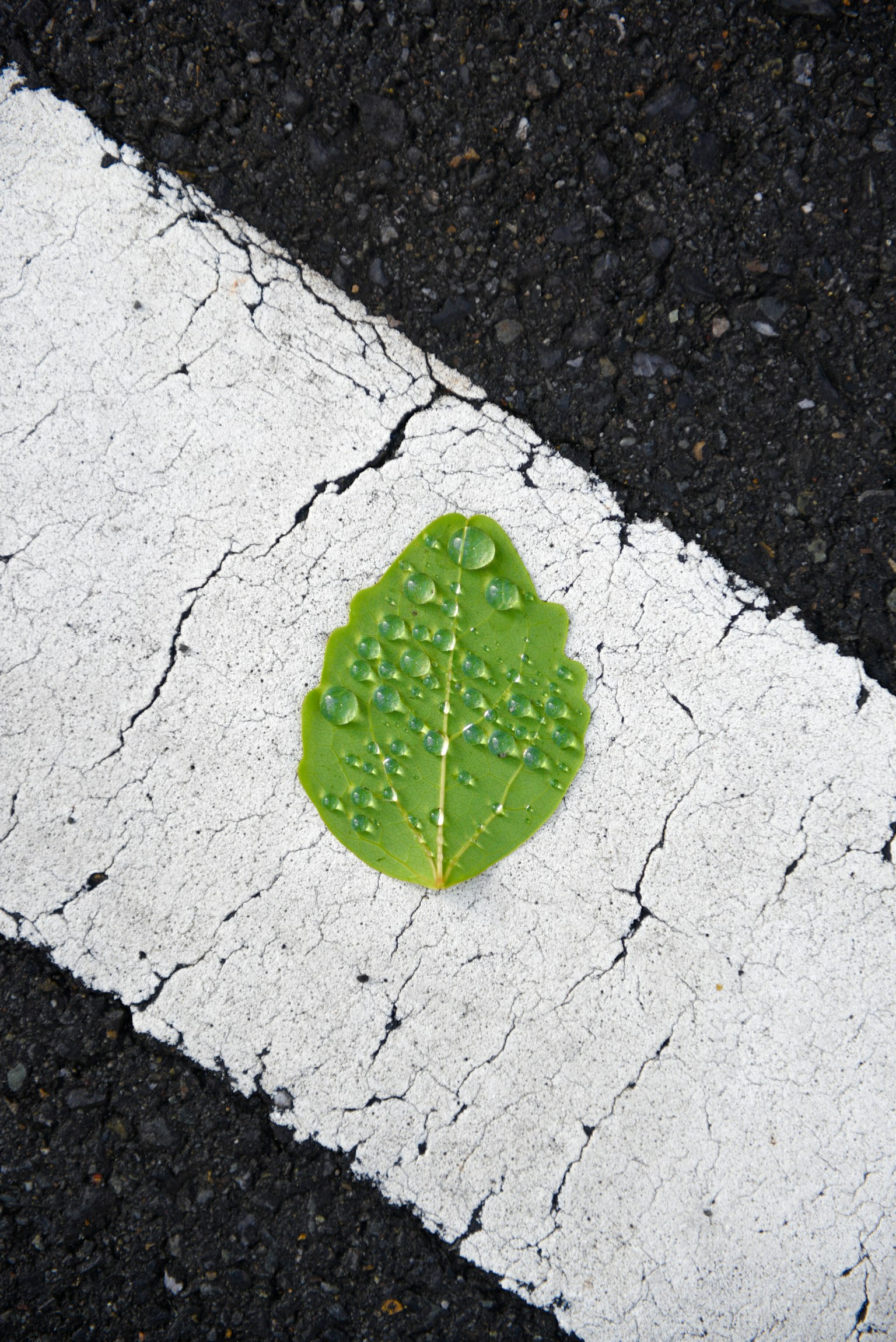 photo-E3QvW6wirjswHRDnGp7k-image