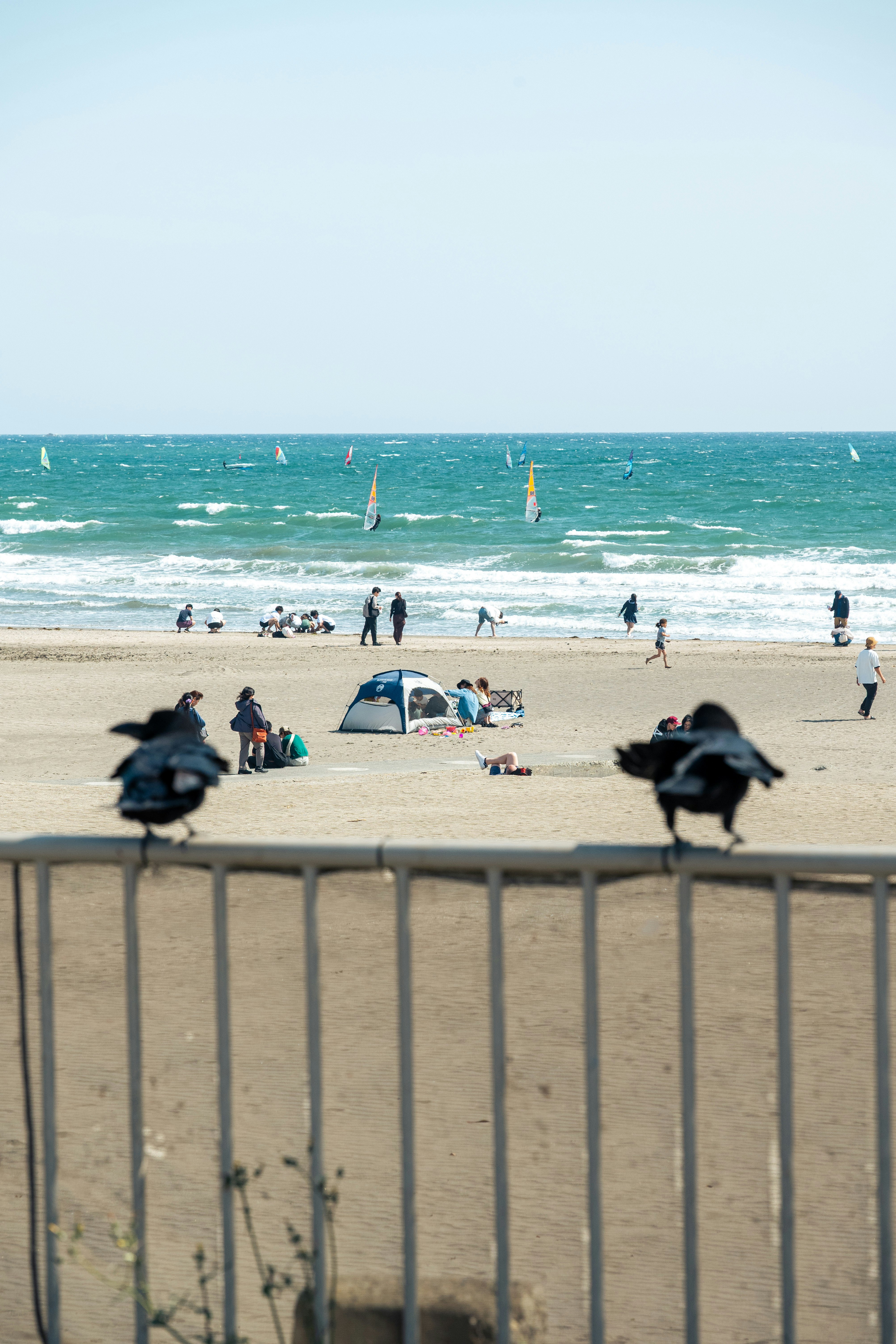 海辺の砂浜で過ごす人々と海の波のある風景