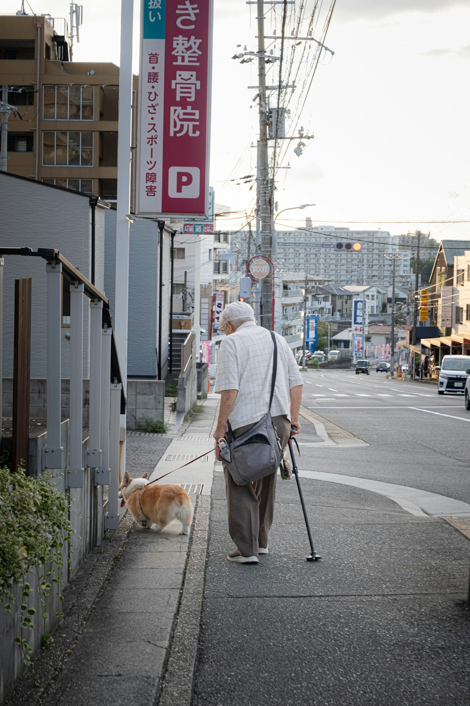 Persona mayor paseando un perro por una acera con paisaje urbano y señales