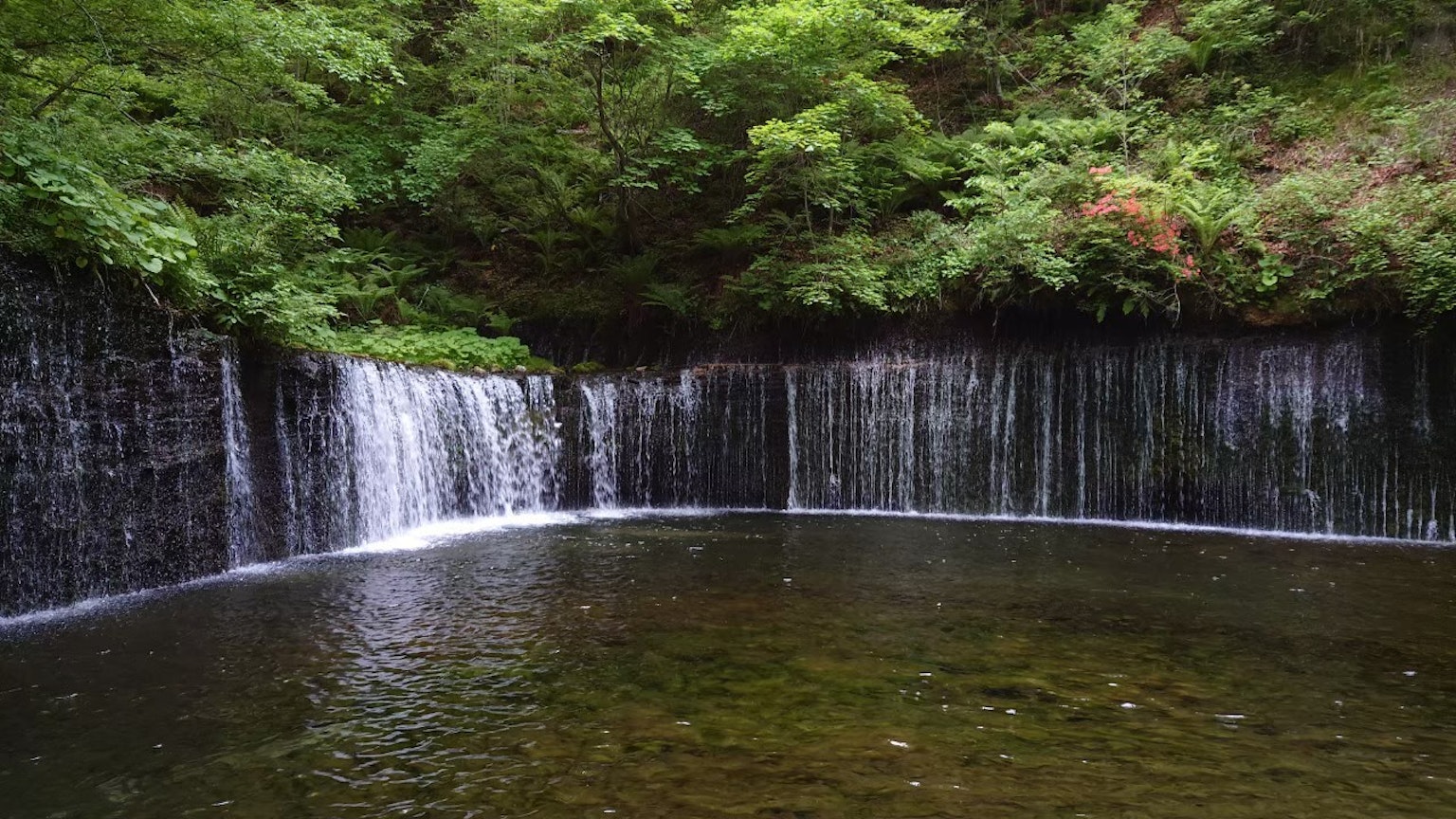 Un étang tranquille entouré de verdure avec une cascade