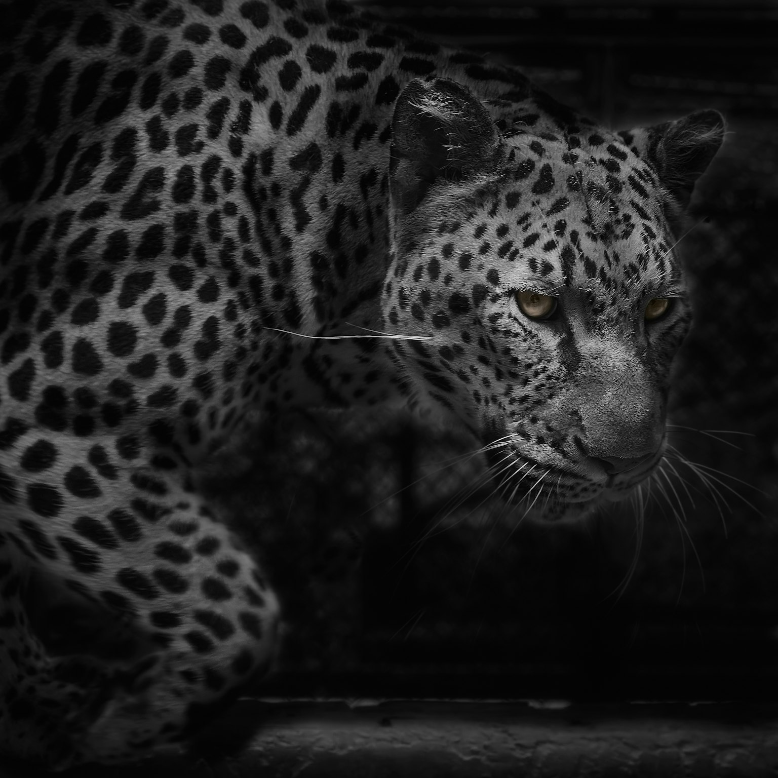 photo-E57qI3FWOhuh9XDnJ6nl-image