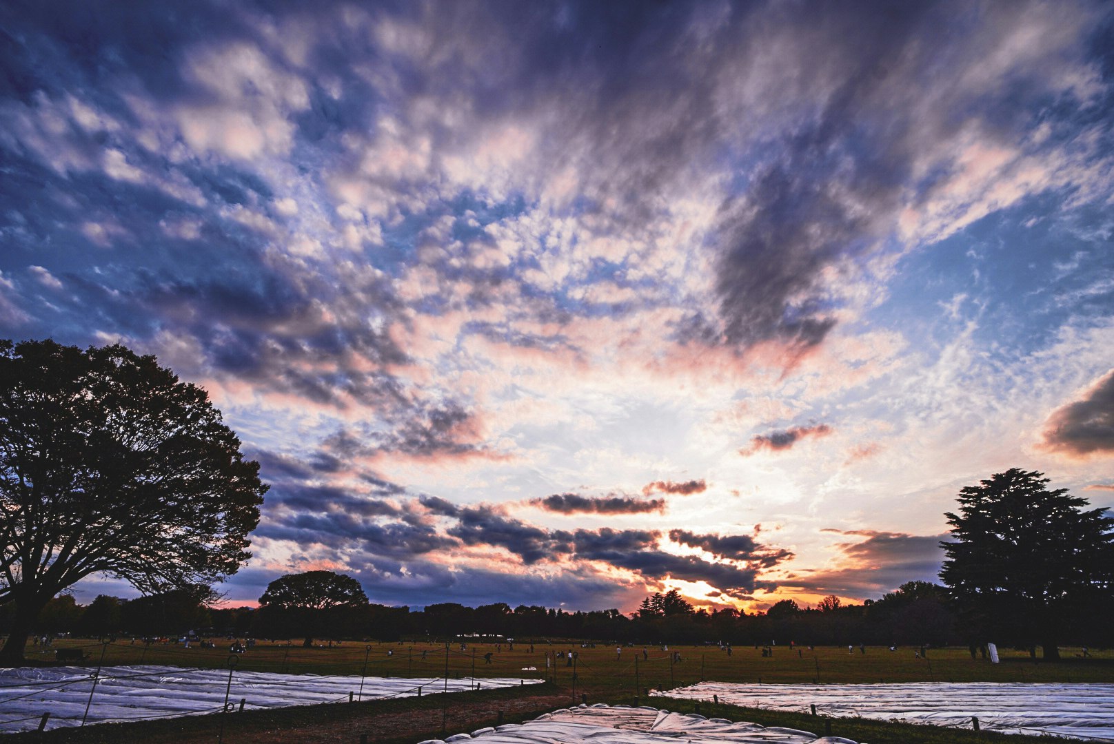 cloudy sunset sky over a grassy field