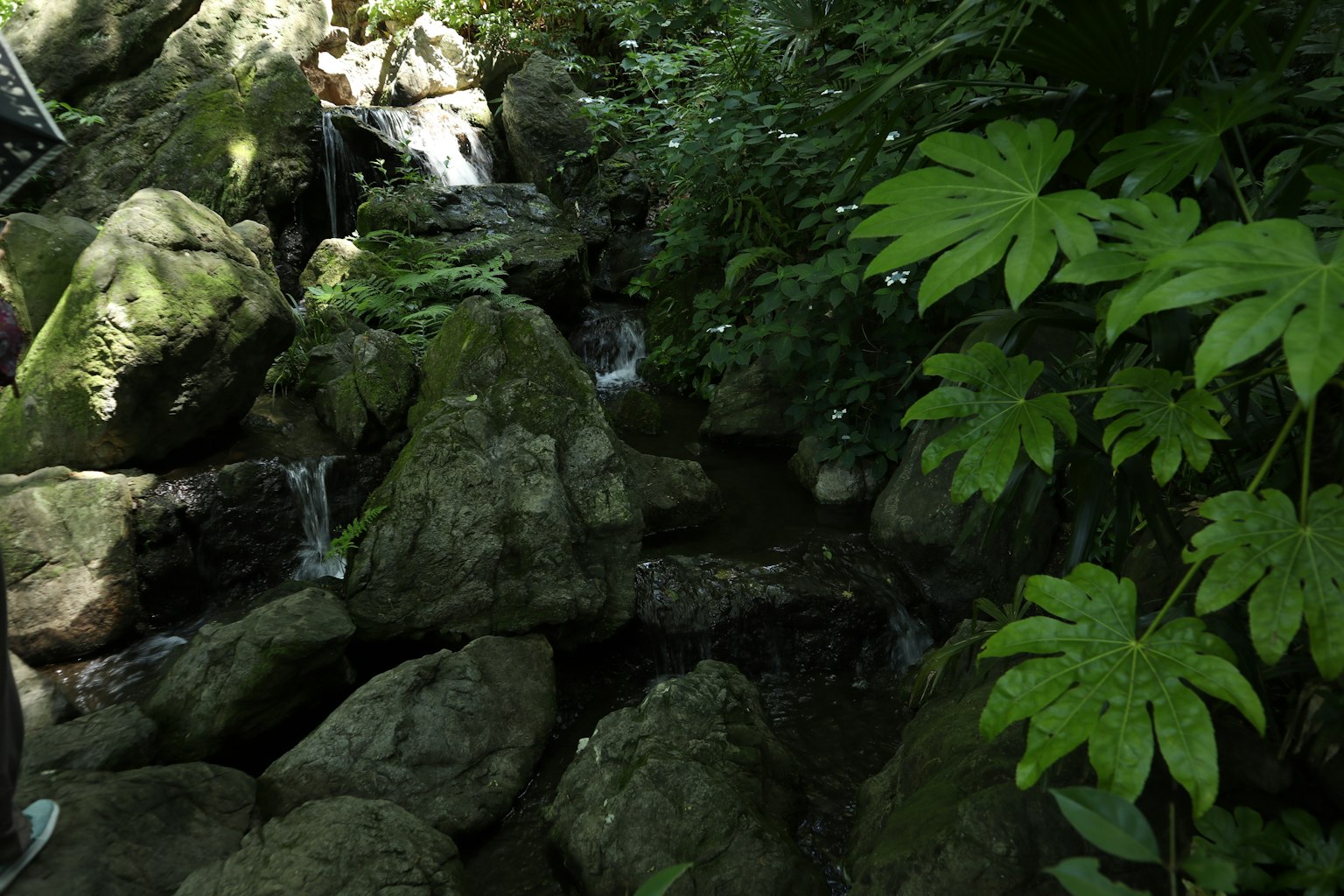 Un arroyo que fluye a través de un entorno verde con rocas