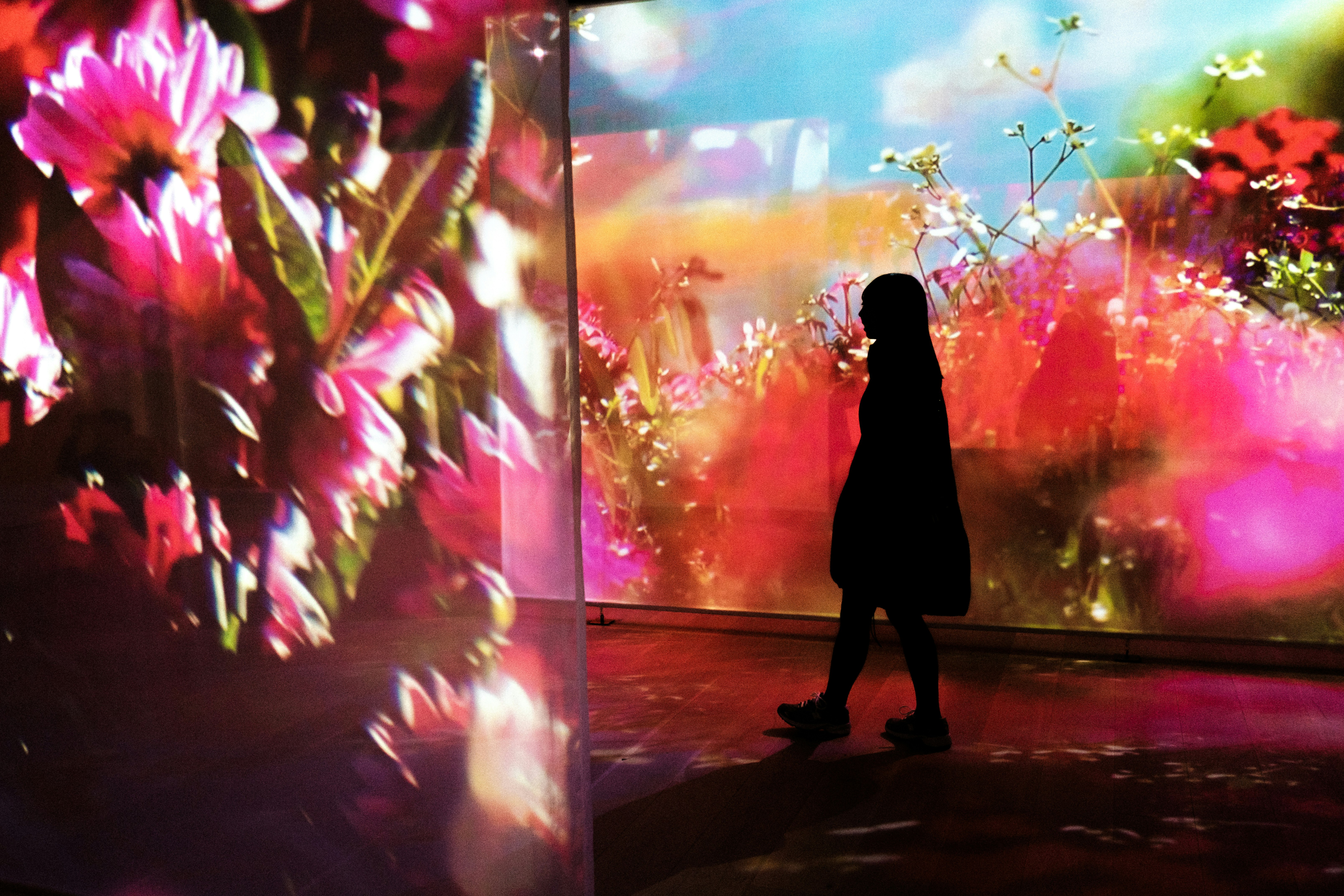 silhouette d’une personne devant des panneaux d’exposition de fleurs éclatantes