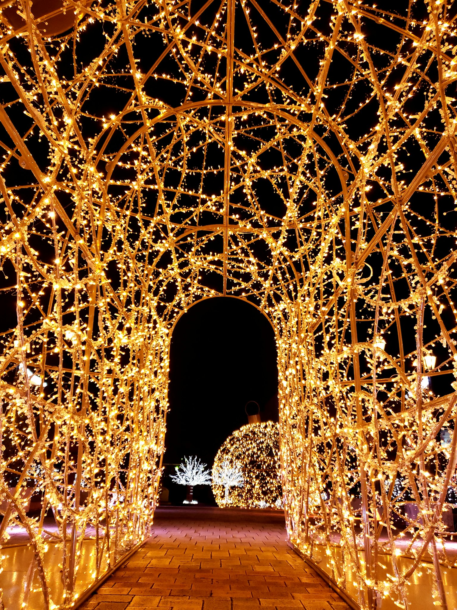 Arche de tunnel illuminé décoré de lumières et arbres illuminés en arrière-plan