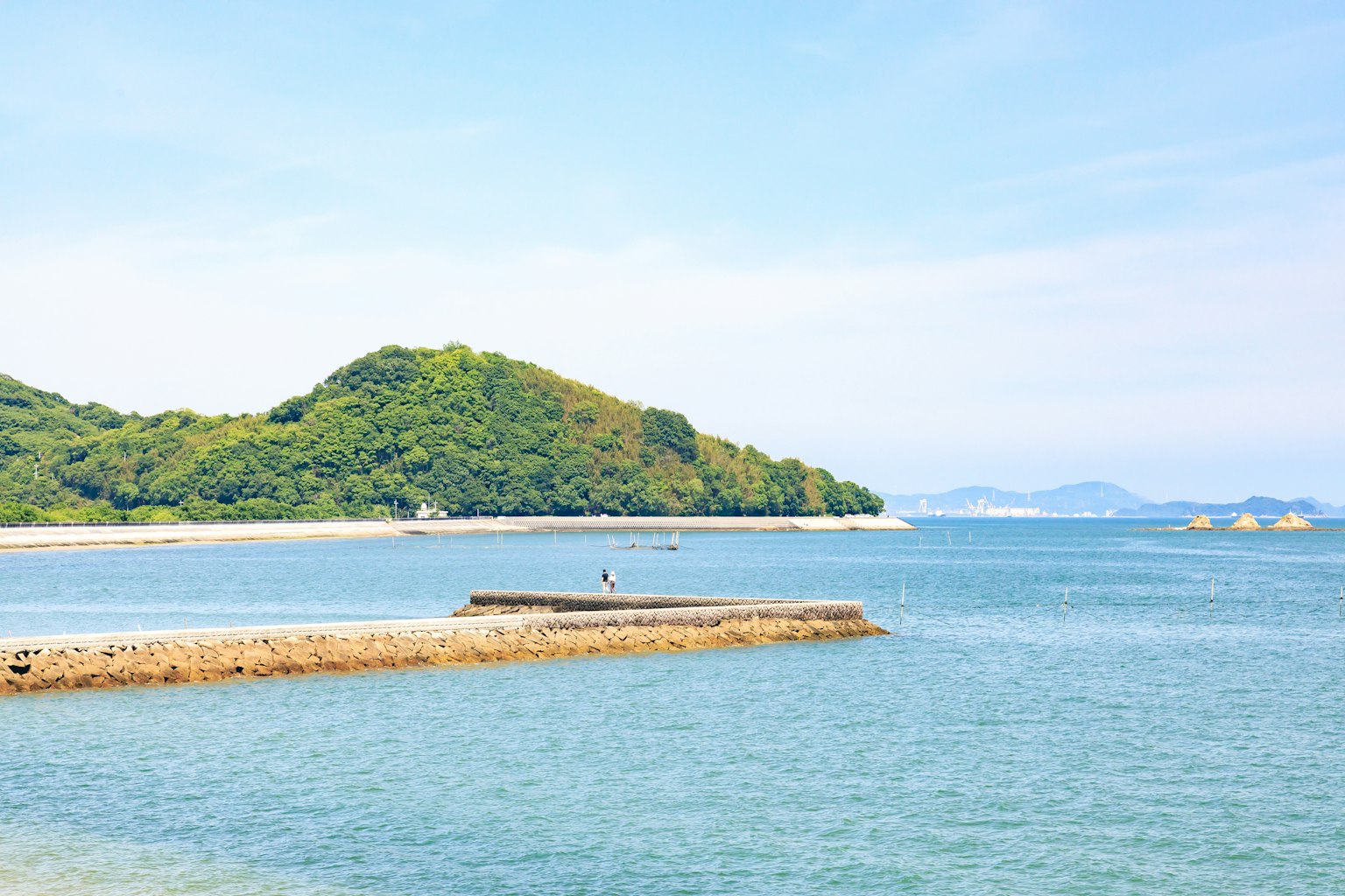 藍色海洋和綠色山丘的風景