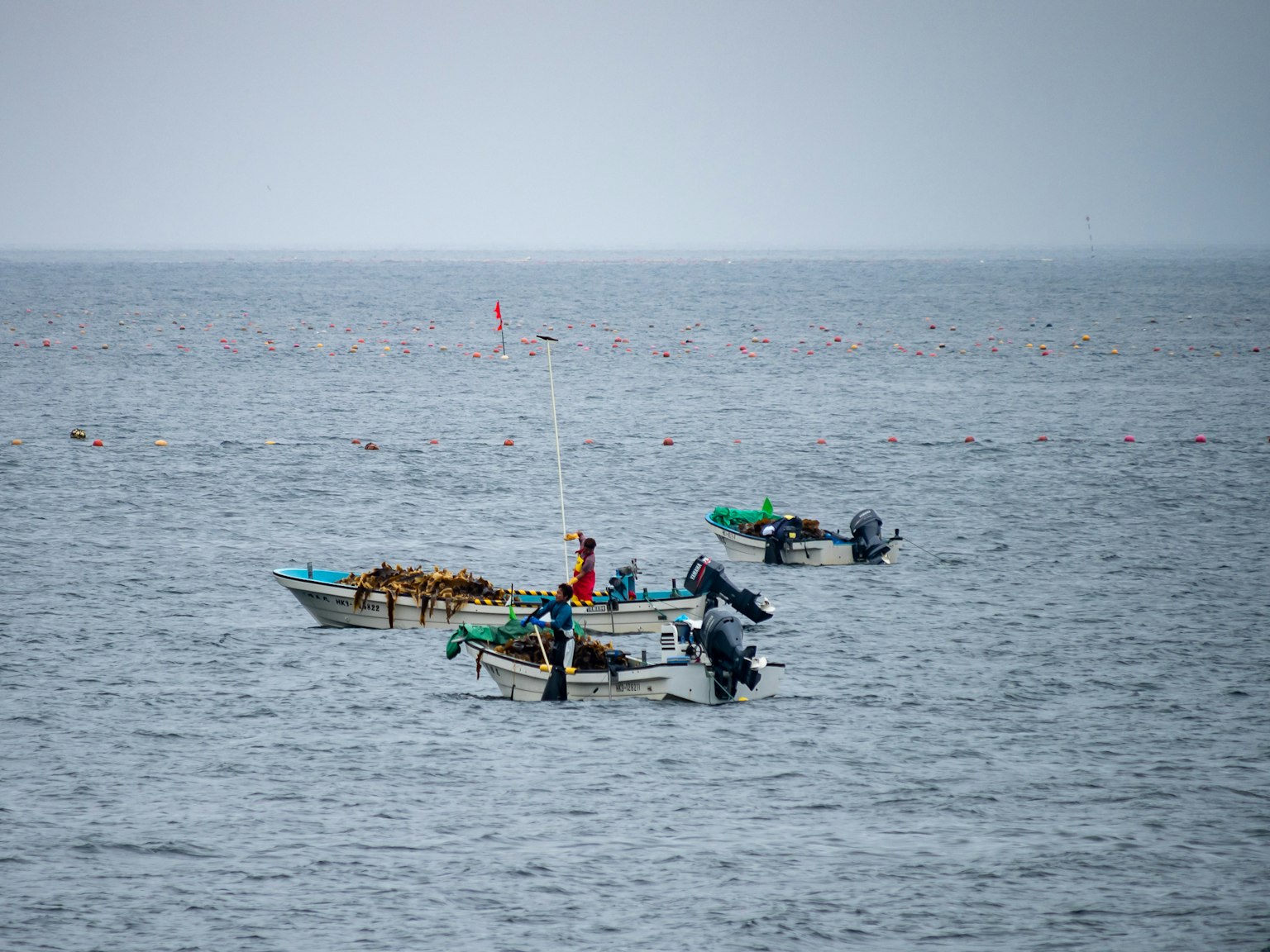 Gruppe von kleinen Booten, die auf dem Meer fischen