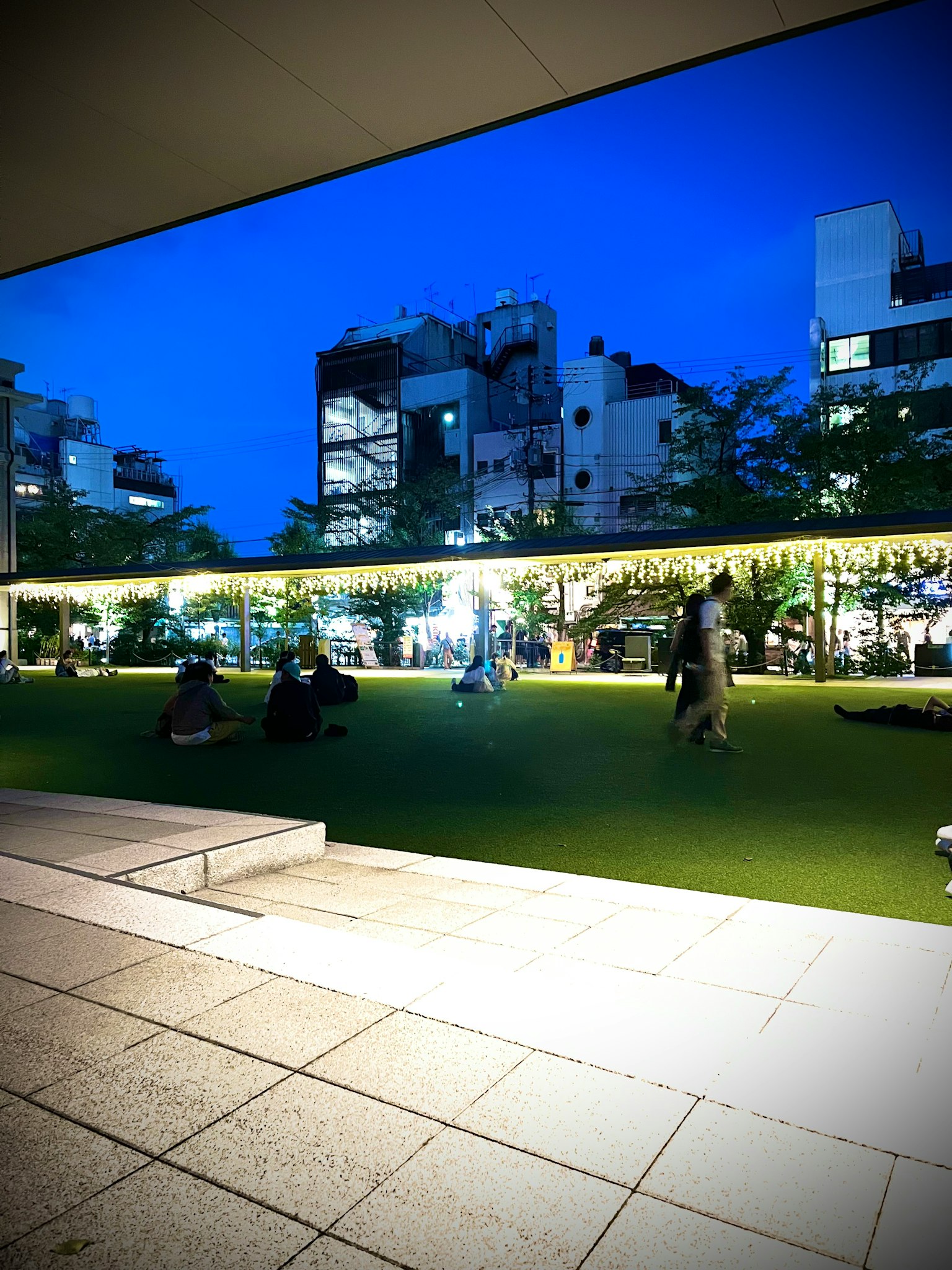Des gens se rassemblent dans un parc urbain la nuit