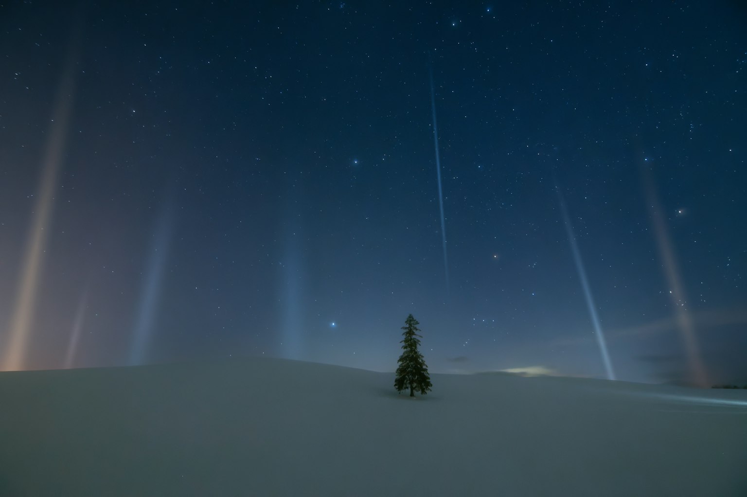 Ein einzelner Baum im Schnee unter einem sternenklaren Himmel mit sichtbaren Lichtsäulen