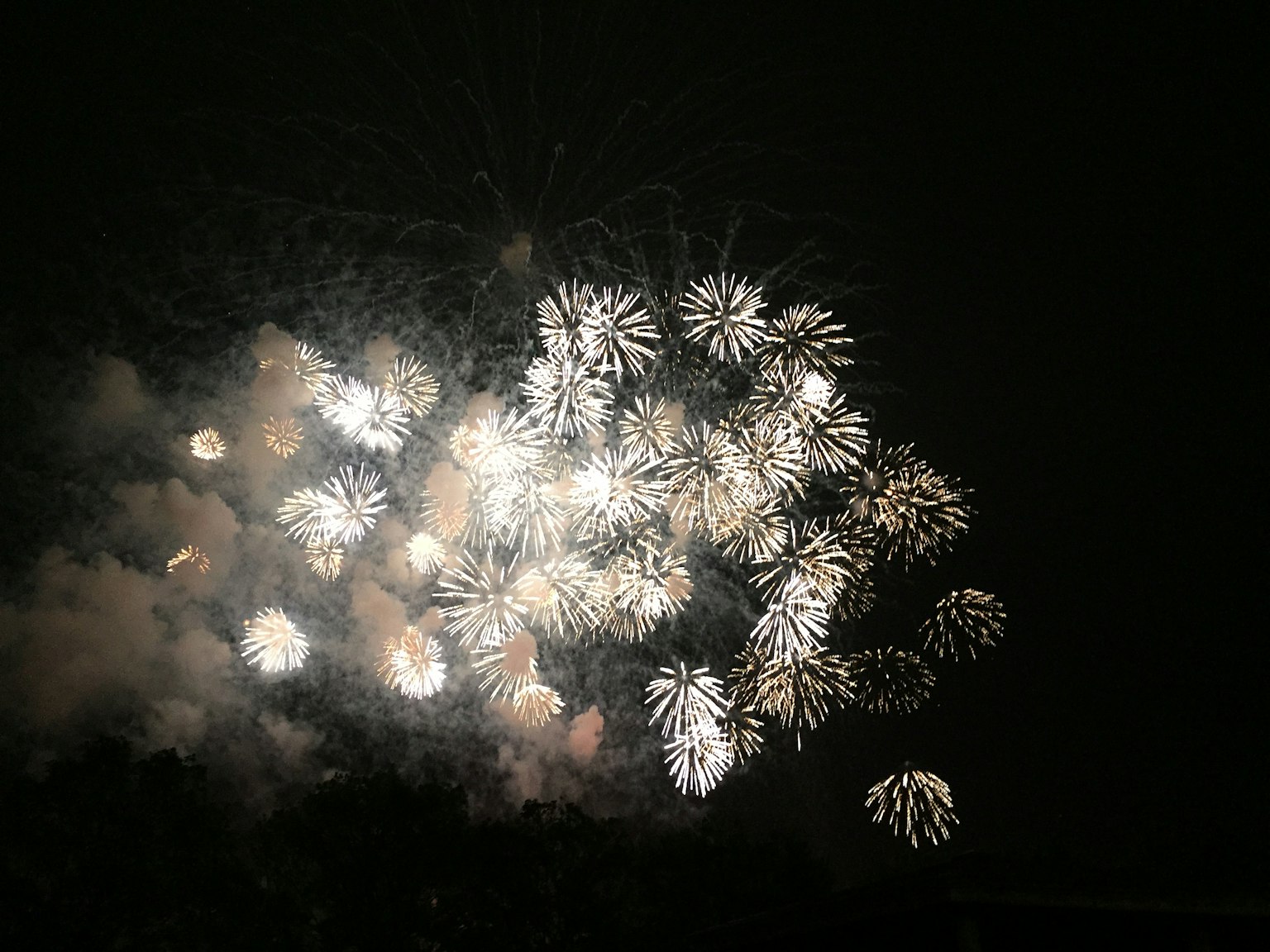 Bellissimo spettacolo di fuochi d'artificio bianchi che fioriscono nel cielo notturno