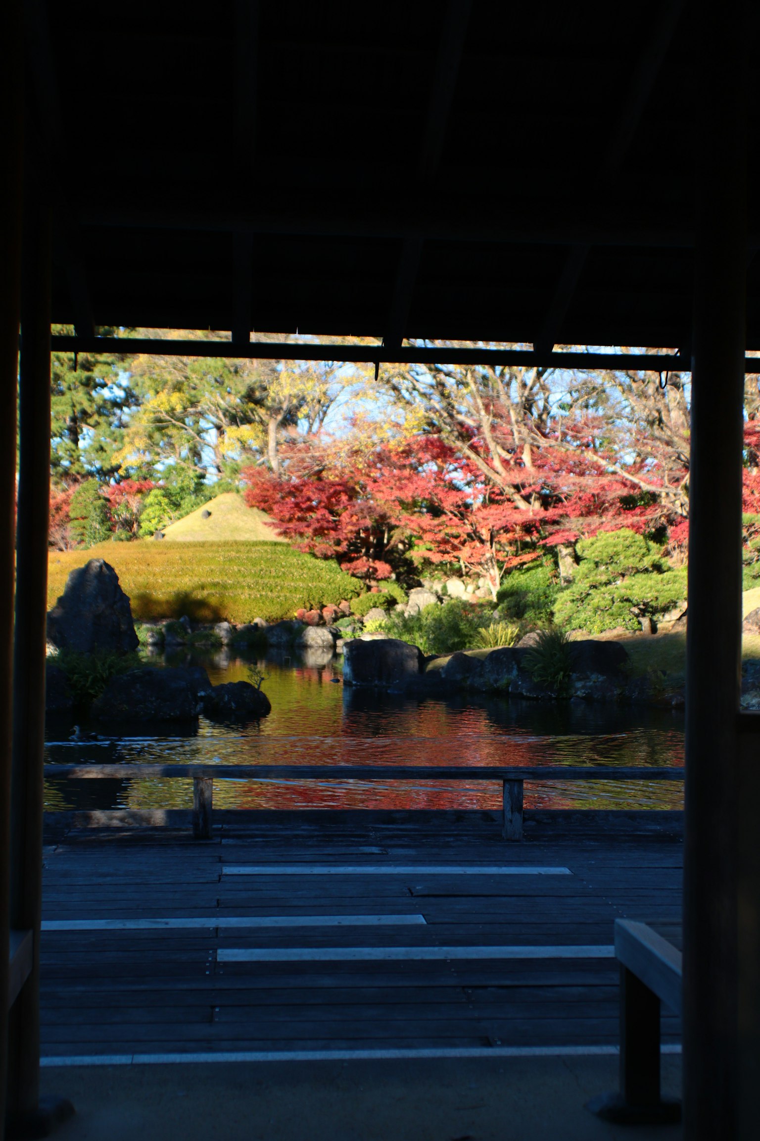 Vue d'un jardin avec des feuilles d'automne colorées reflétées dans un étang