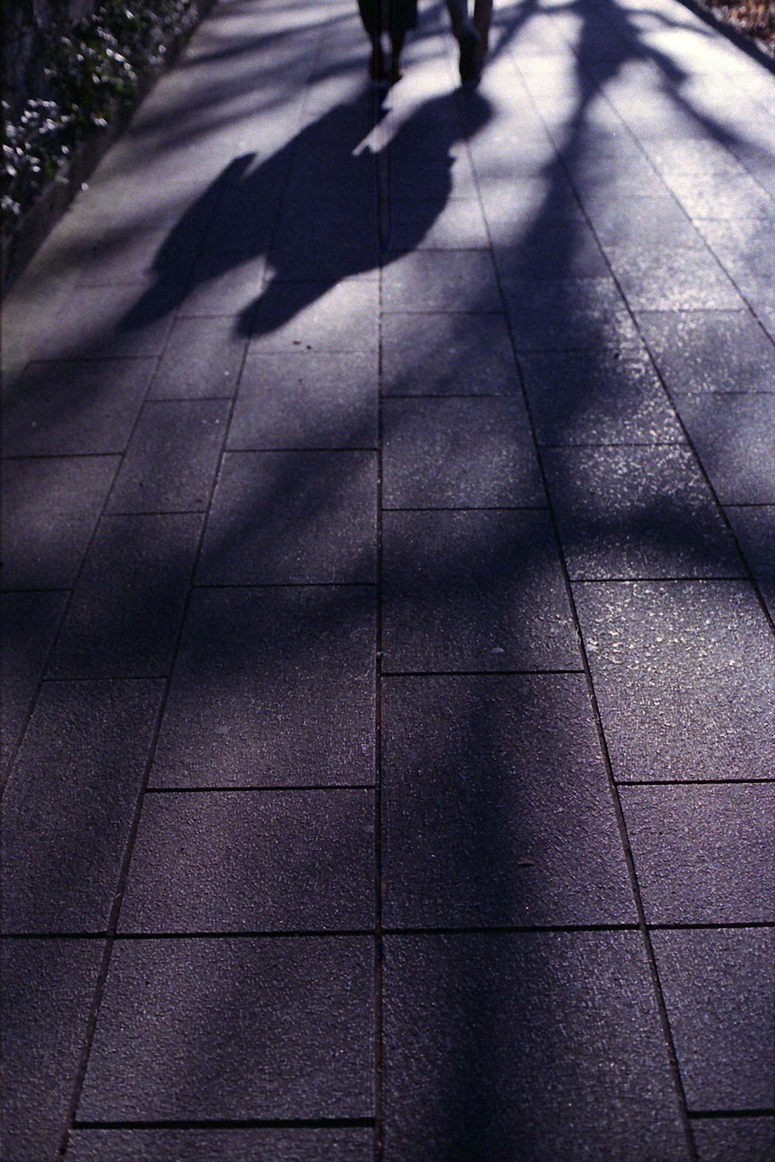 Silhouetten von Menschen, die auf einem gepflasterten Bürgersteig mit Schatten gehen