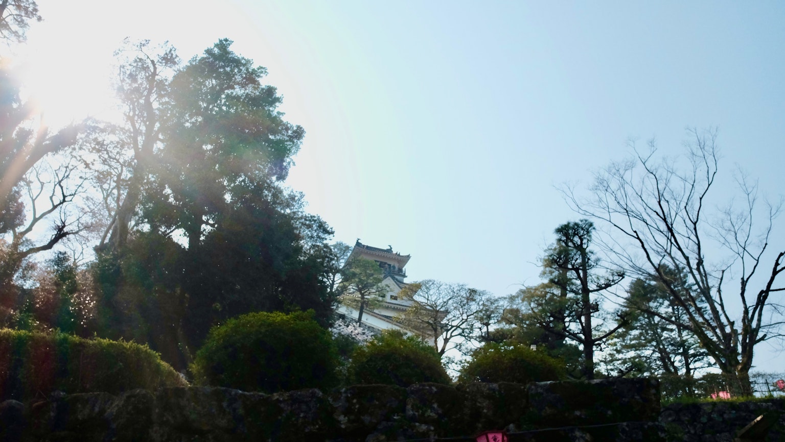 Silhouette d'arbres et d'un château sous un ciel dégagé