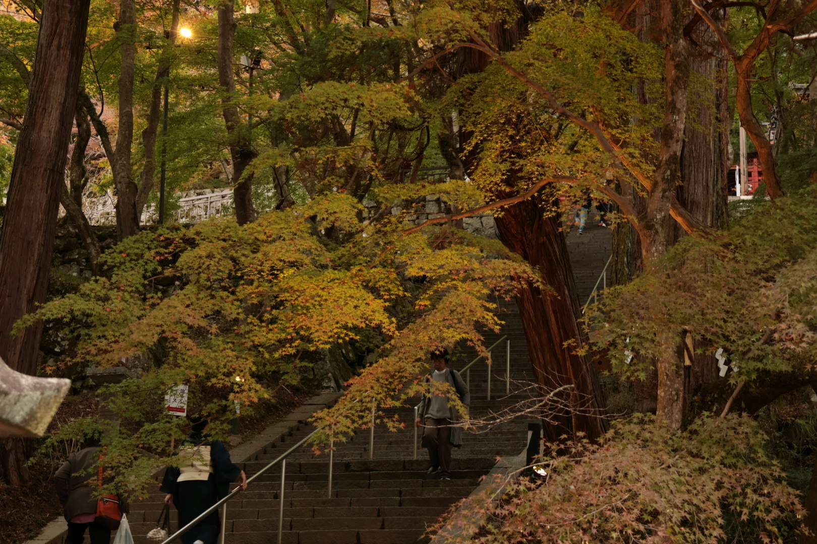 Herbstlicher Parkweg mit Bäumen und Steinstufen