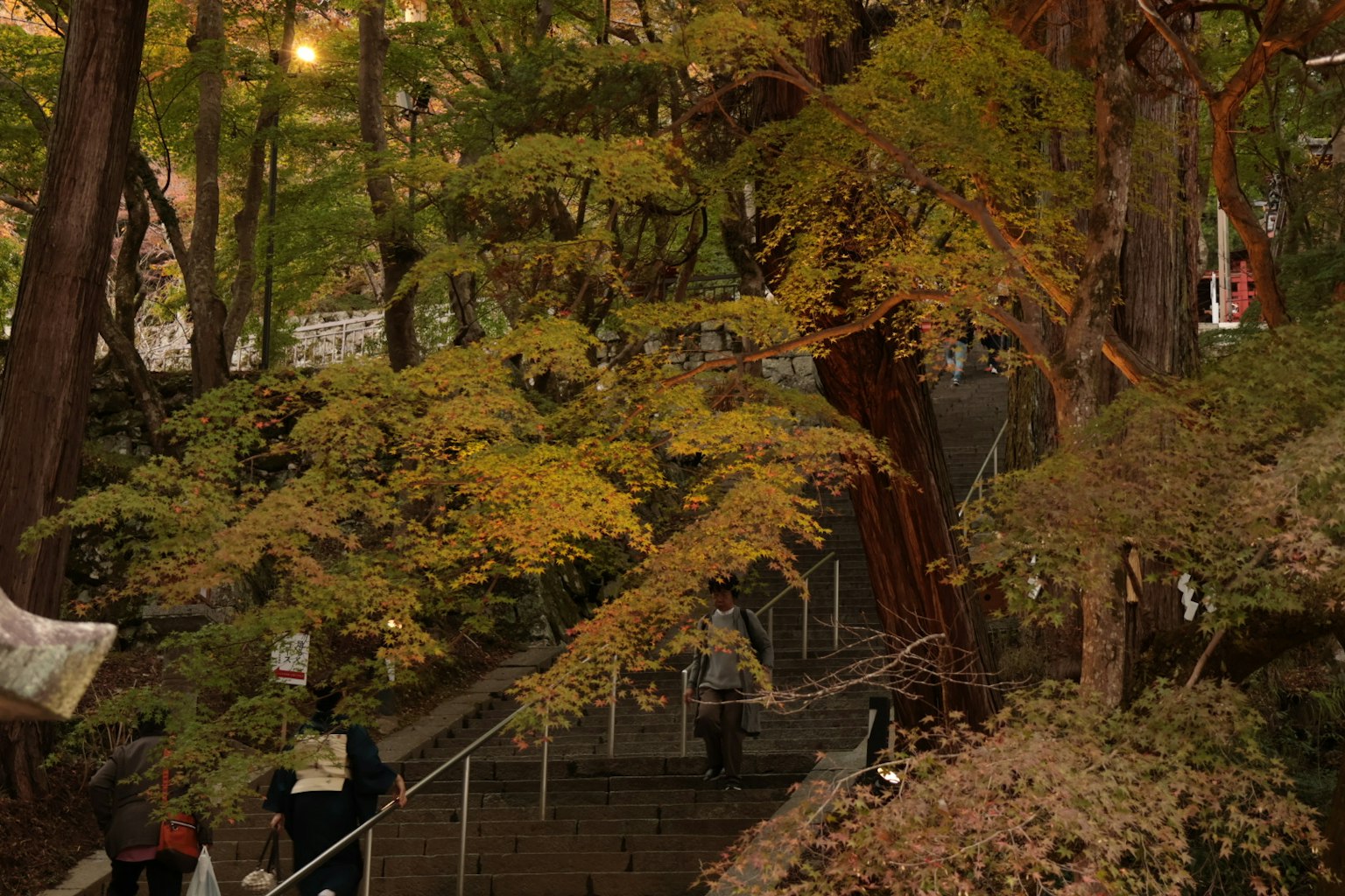 Scène d'automne avec des arbres aux feuilles jaunes et des escaliers visibles