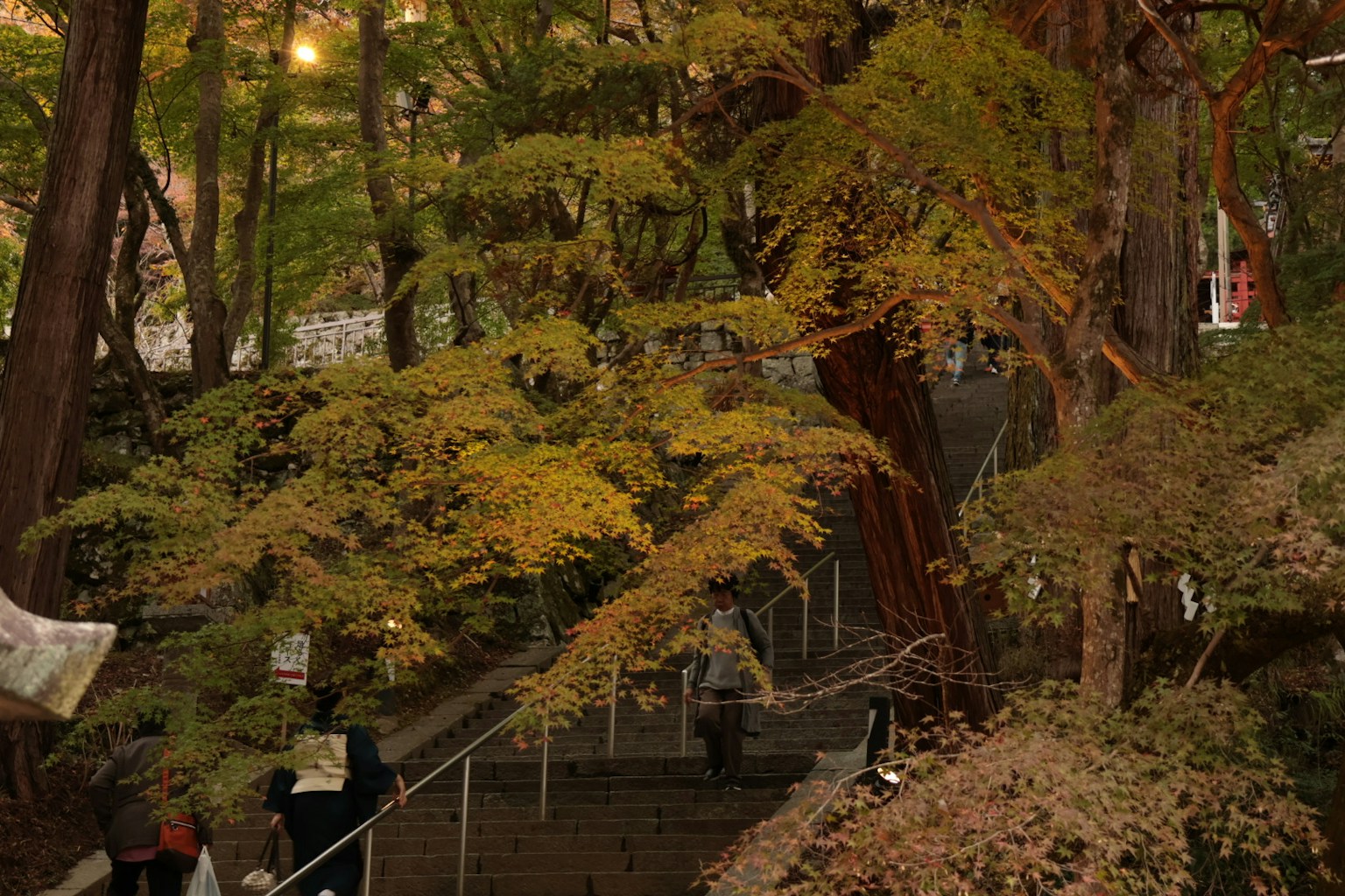 Herbstszene mit Bäumen mit gelben Blättern und sichtbaren Treppen