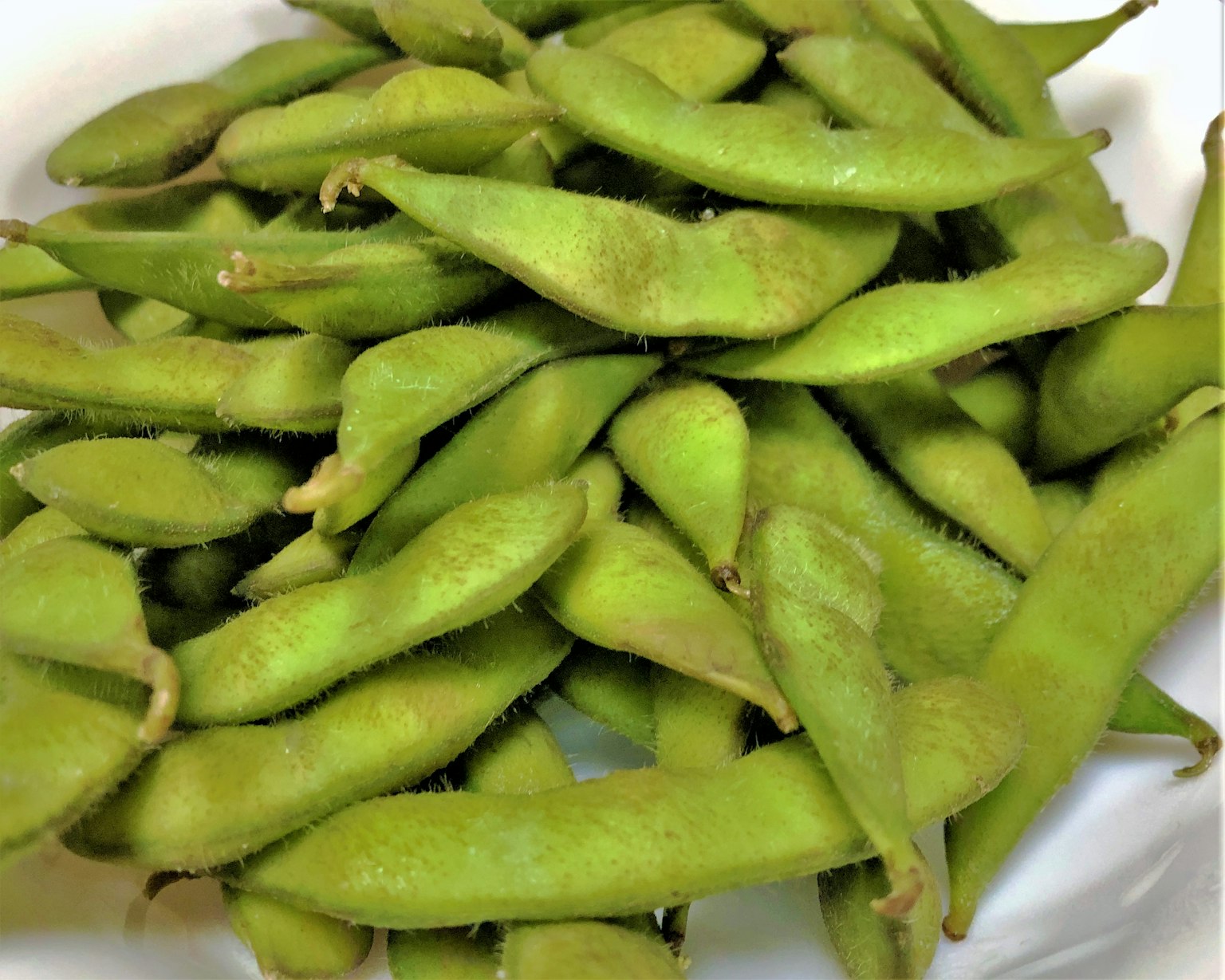 Edamame frais disposé sur une assiette