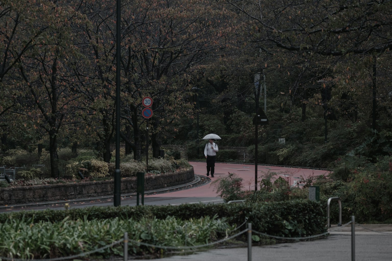 Una persona che cammina su un sentiero del parco con un ombrello