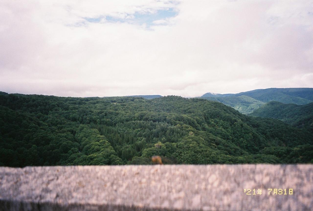 草原の向こうに広がる緑の山並みと森の景色