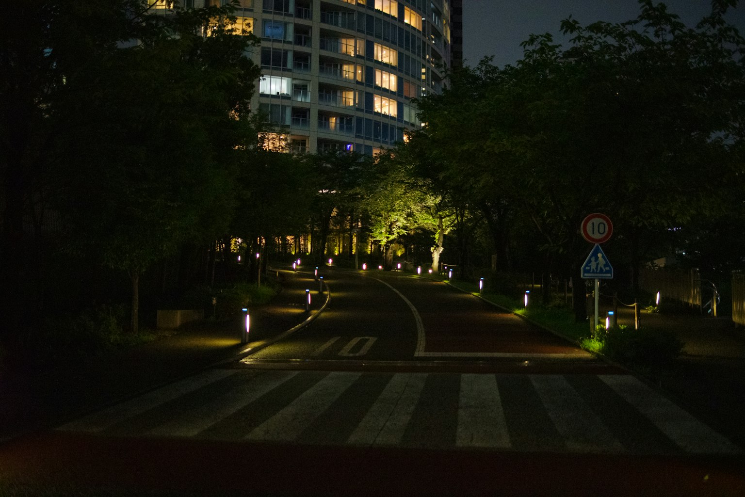 夜间公园小道，灯光照明，四周环绕着树木