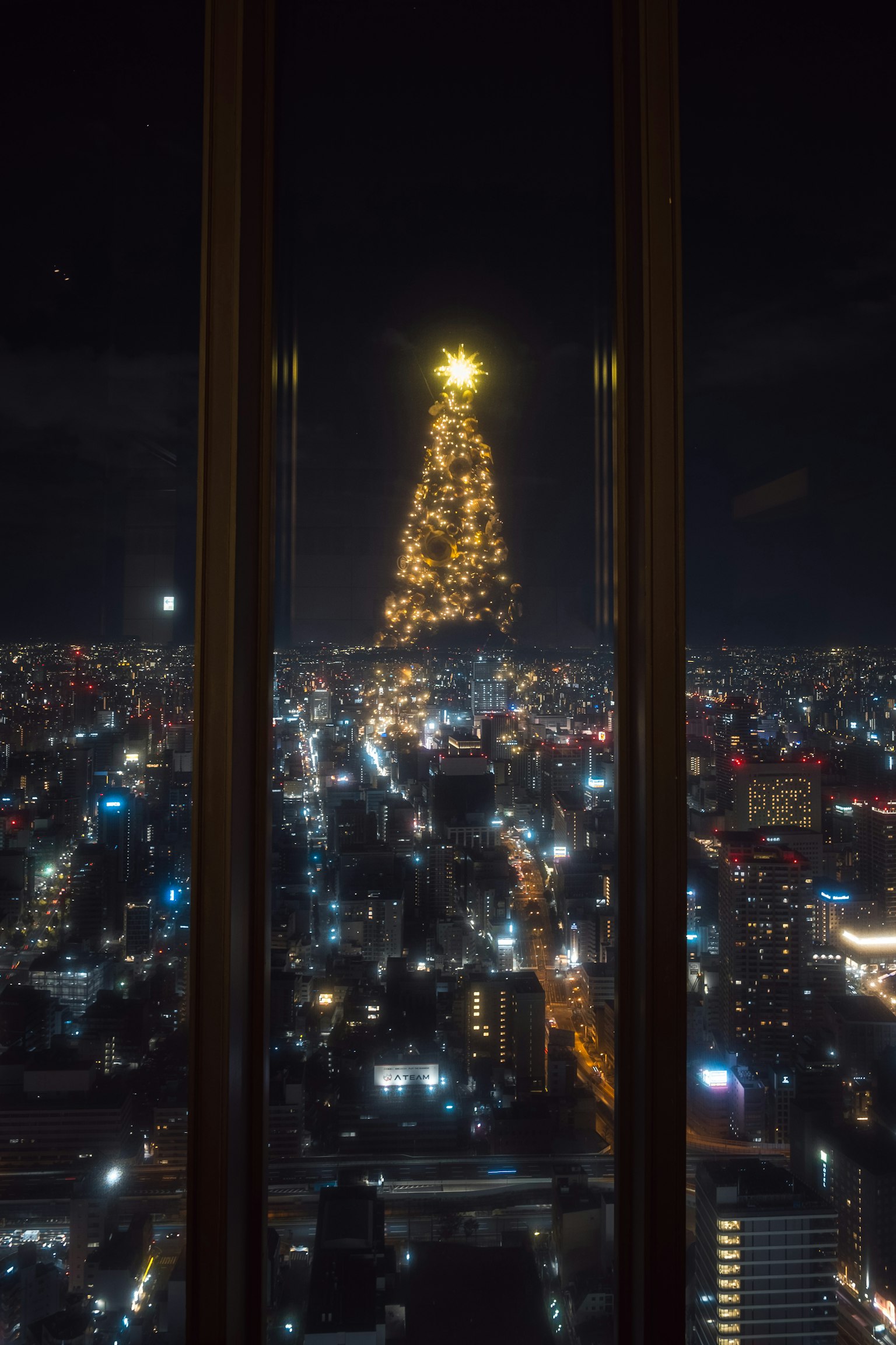 美丽的夜景与照亮的圣诞树