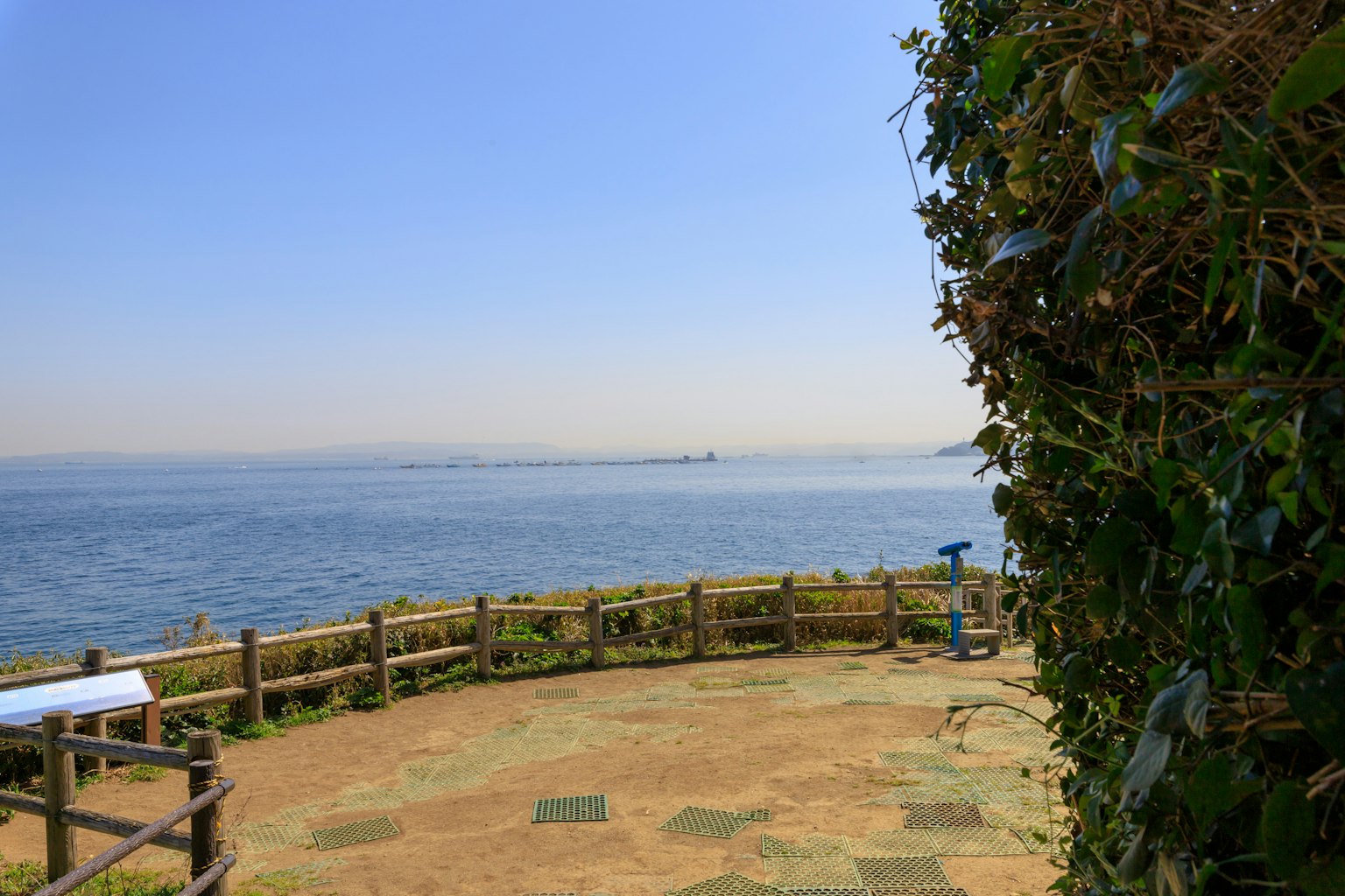 Vista panoramica dell'oceano da un'area verde aperta