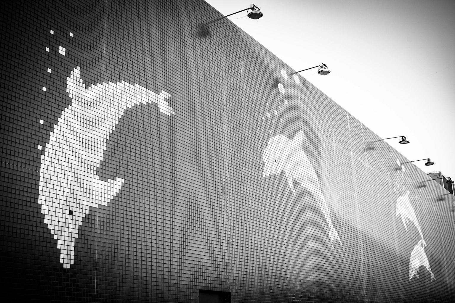Mosaic art of dolphins on a black and white wall