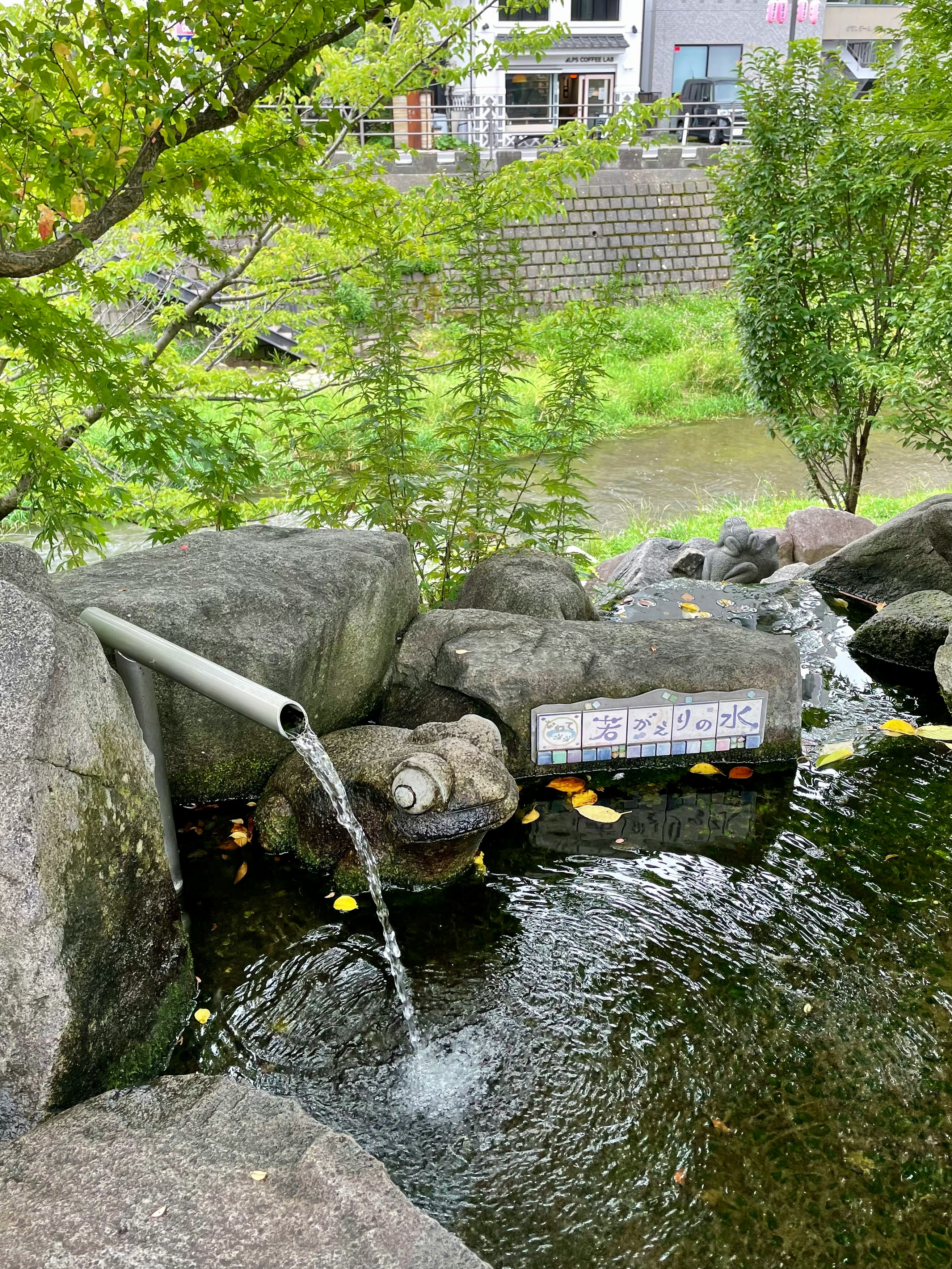 若返りの水が流れる石の手水鉢