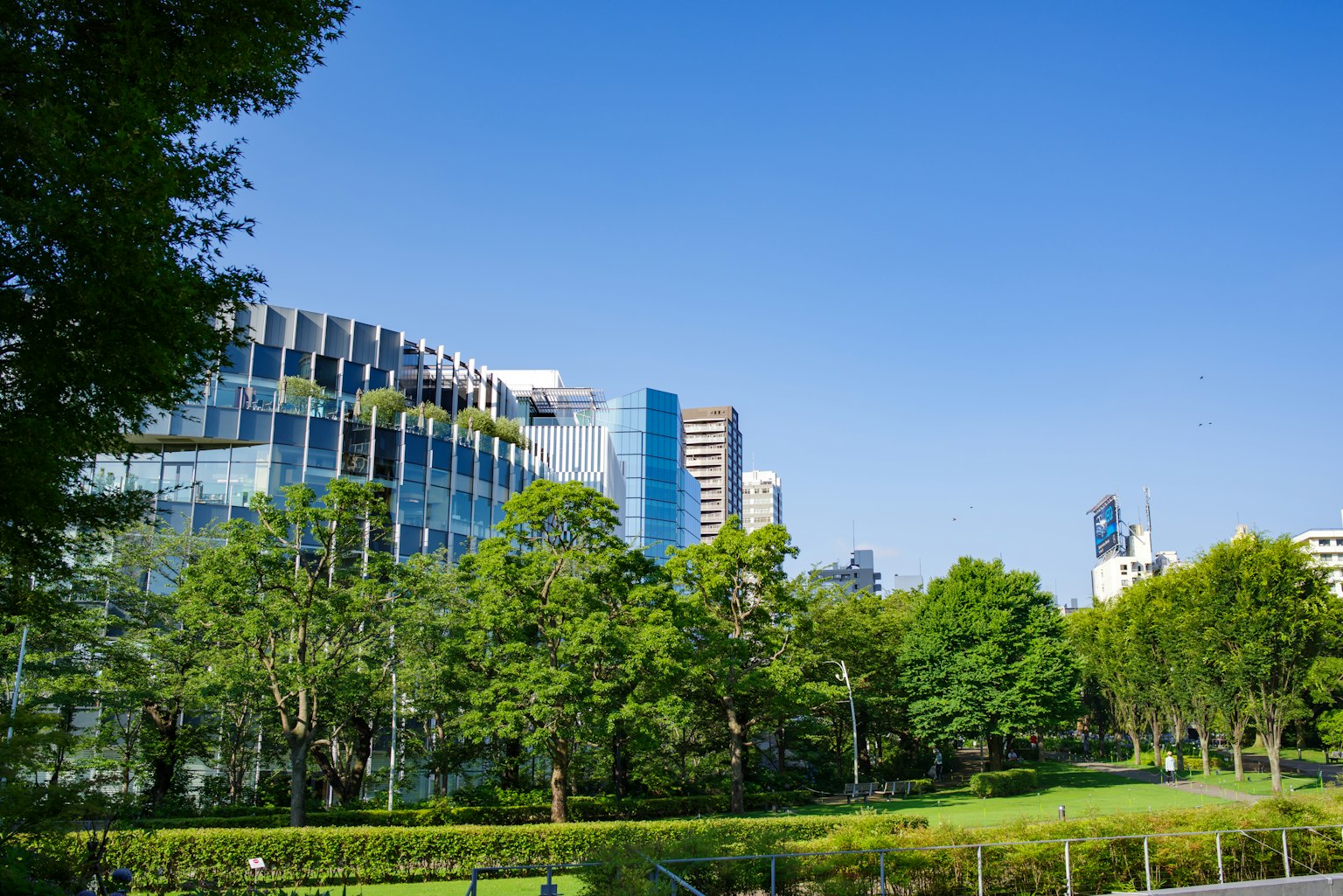 城市风景，绿意盎然的公园和现代建筑