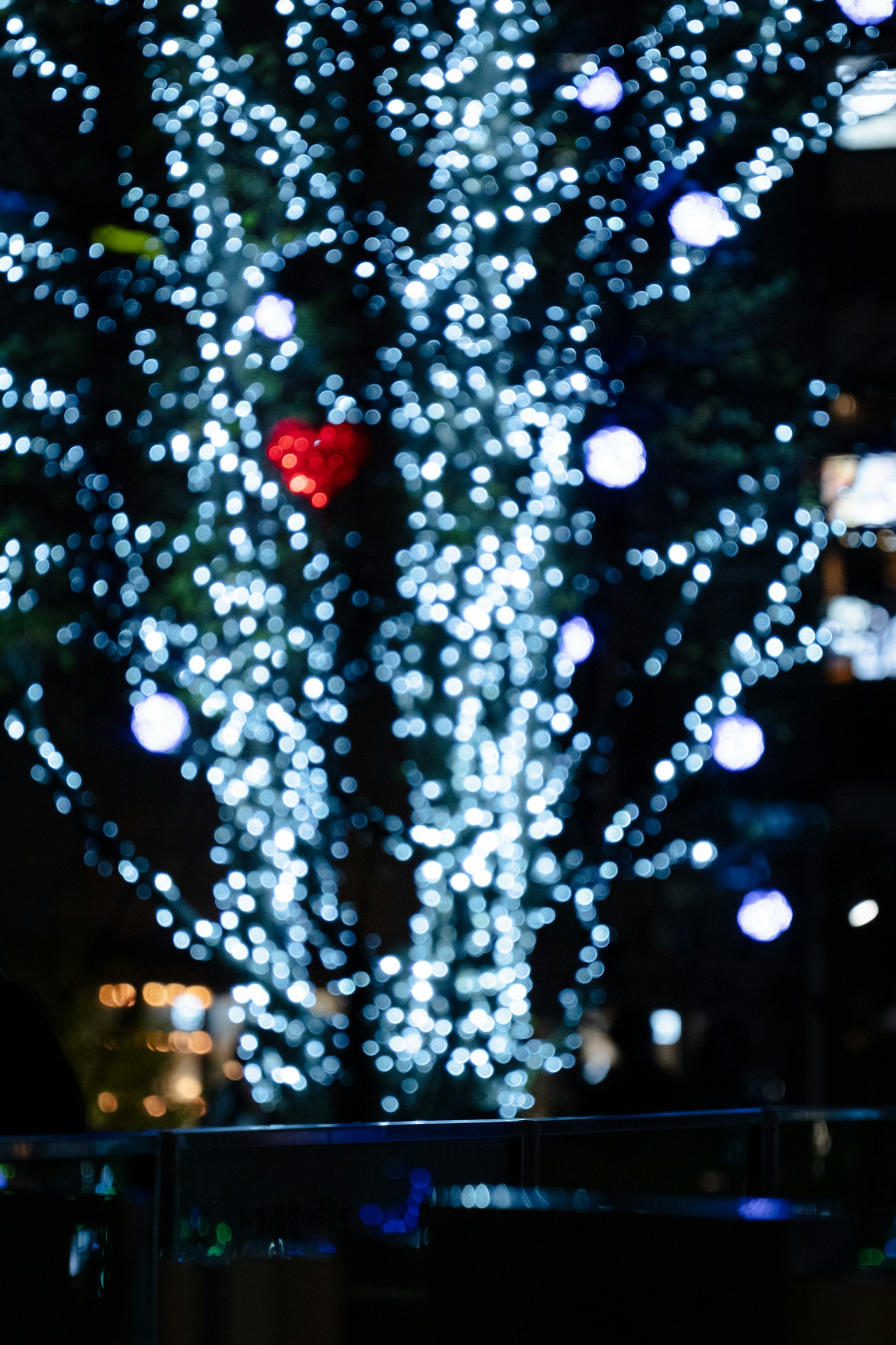 photo-EC3oJQ44NZ471ZfO7KjD-image