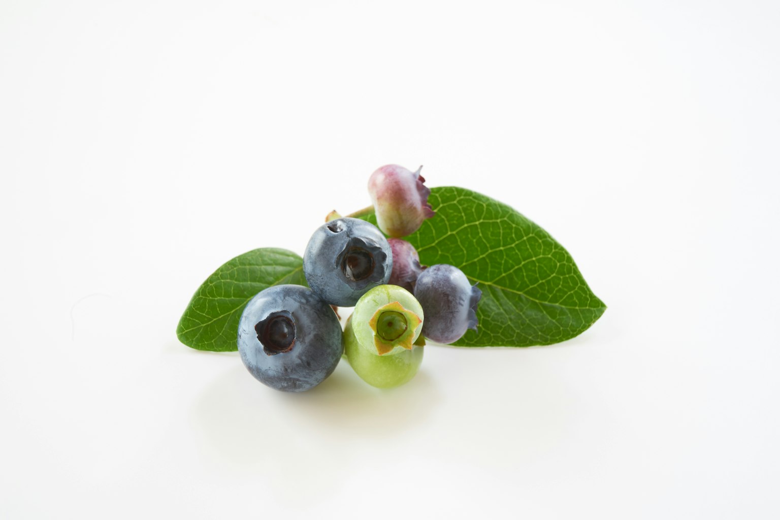 Eine Gruppe von Heidelbeeren mit grünen Blättern auf einem weißen Hintergrund
