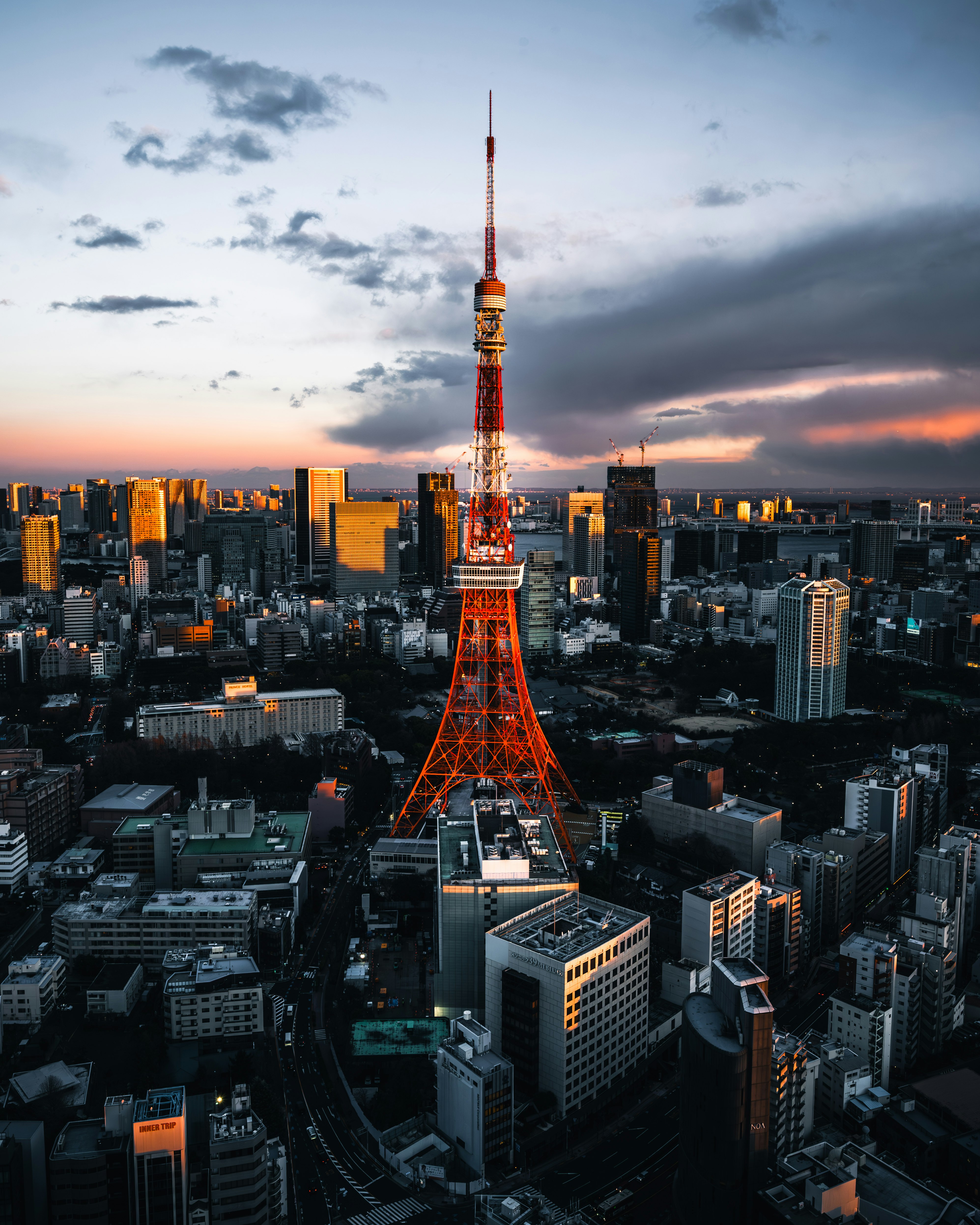 夕日に染まる東京タワーと都市のスカイライン
