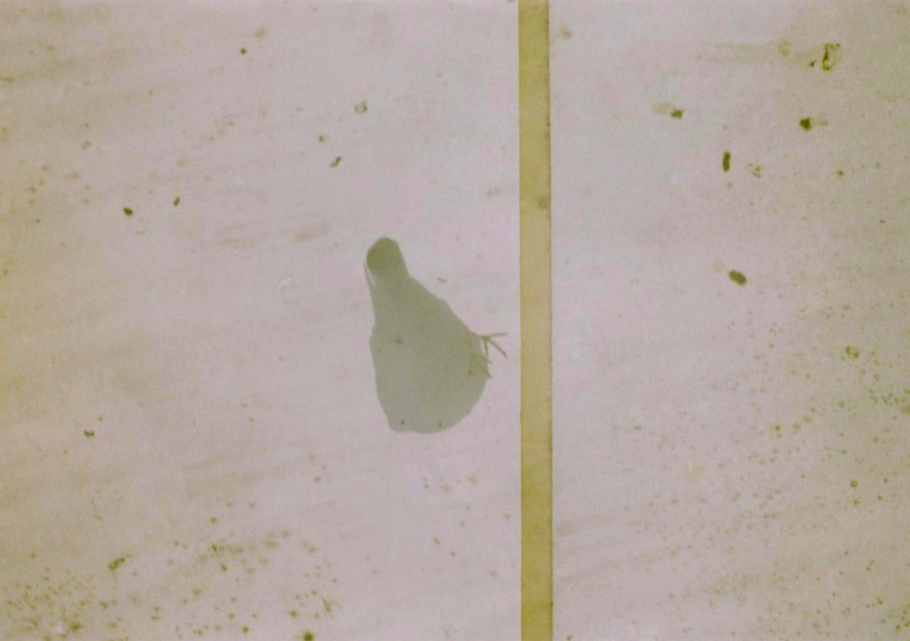 壁の上に浮かぶ小さな紙片のある静かな空間