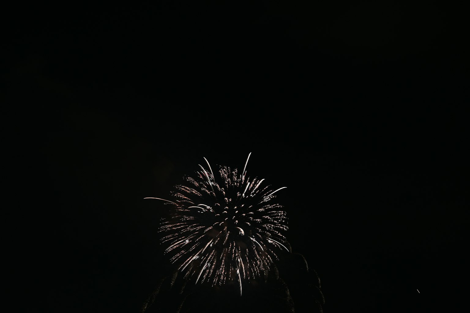 Fuegos artificiales estallando en el cielo oscuro