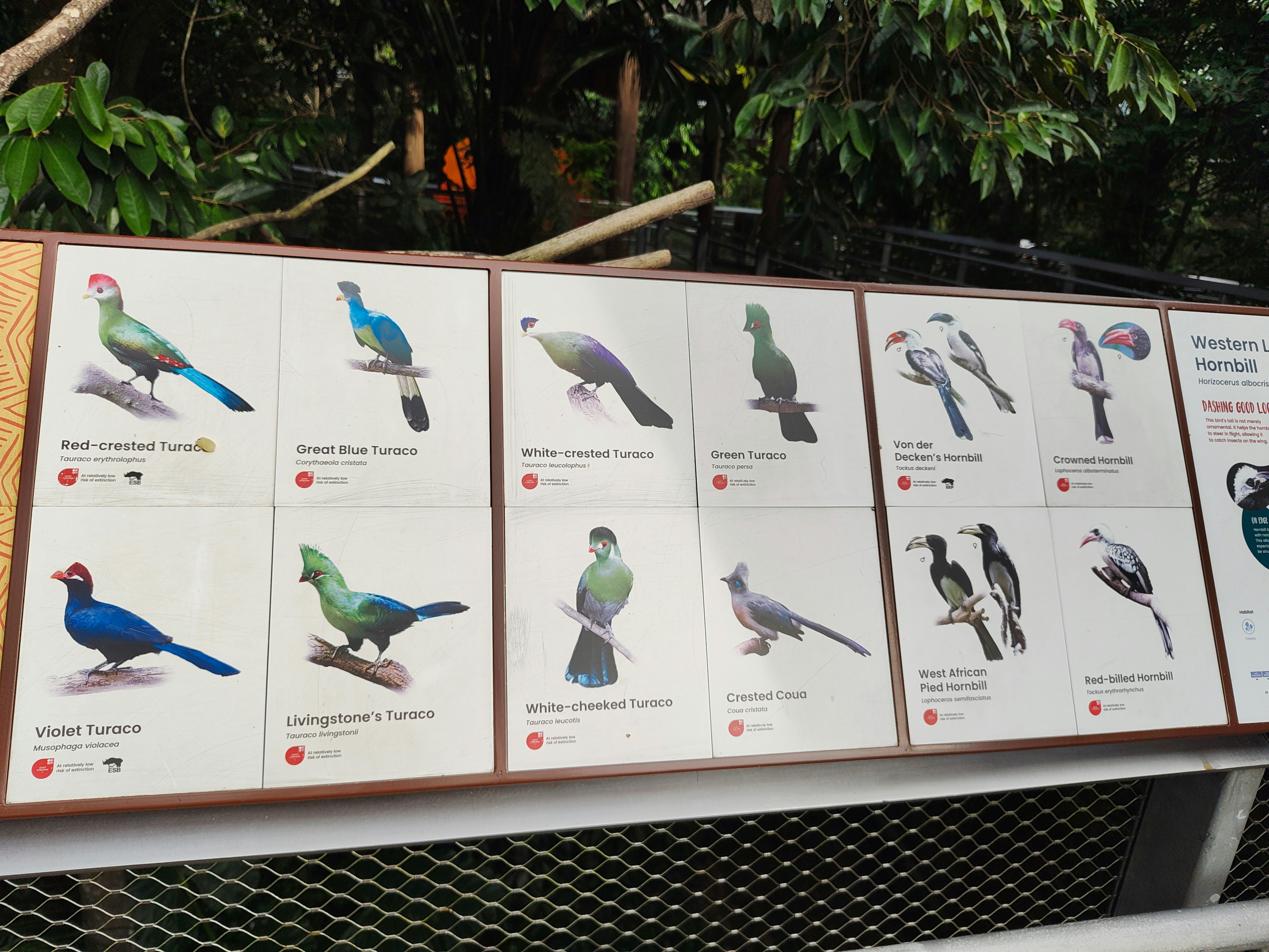 鳥の種類が並ぶ展示パネルのあるバードパラダイスの屋外エリア