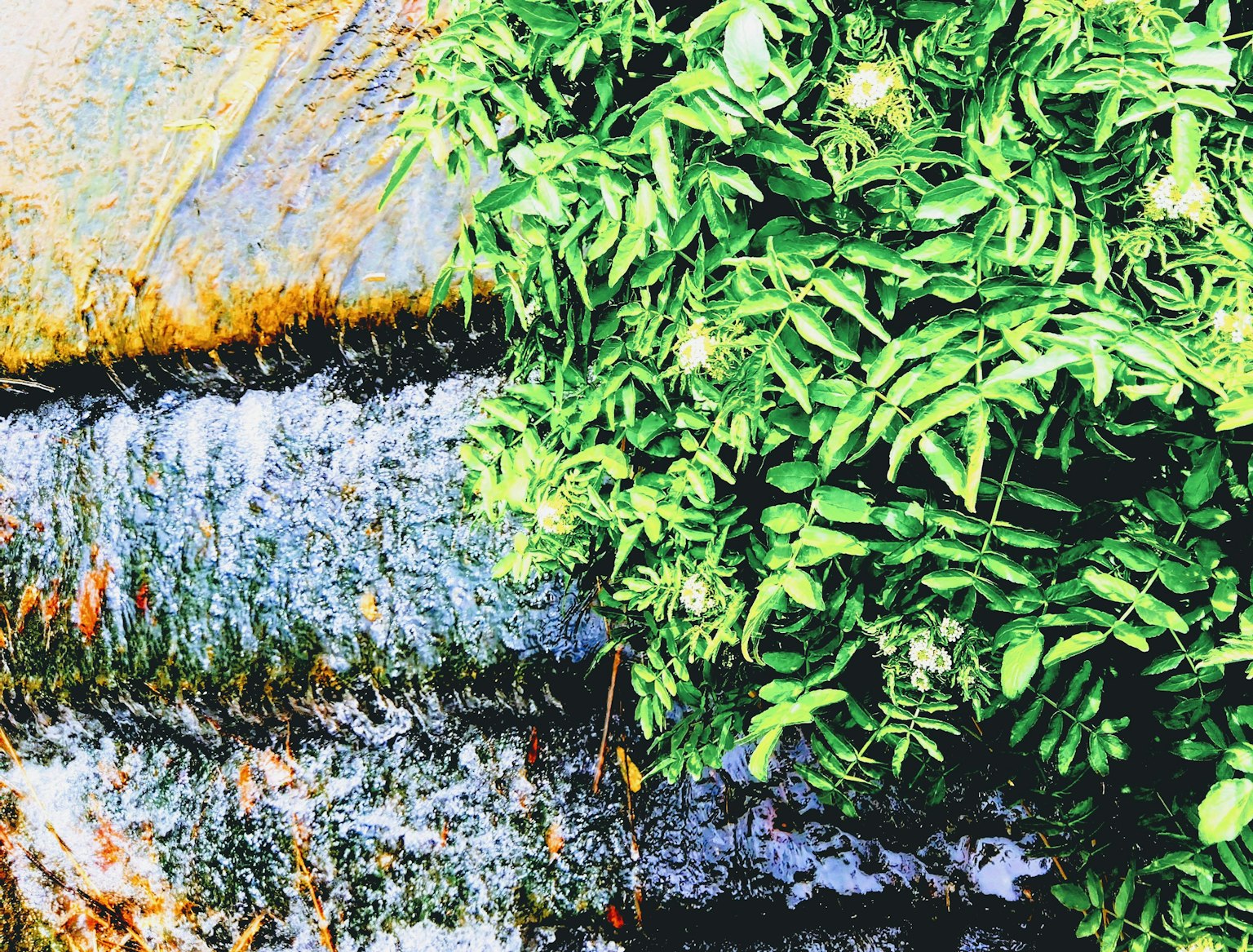 photo-ECwXLhssBlJmr6XB75Iv-image
