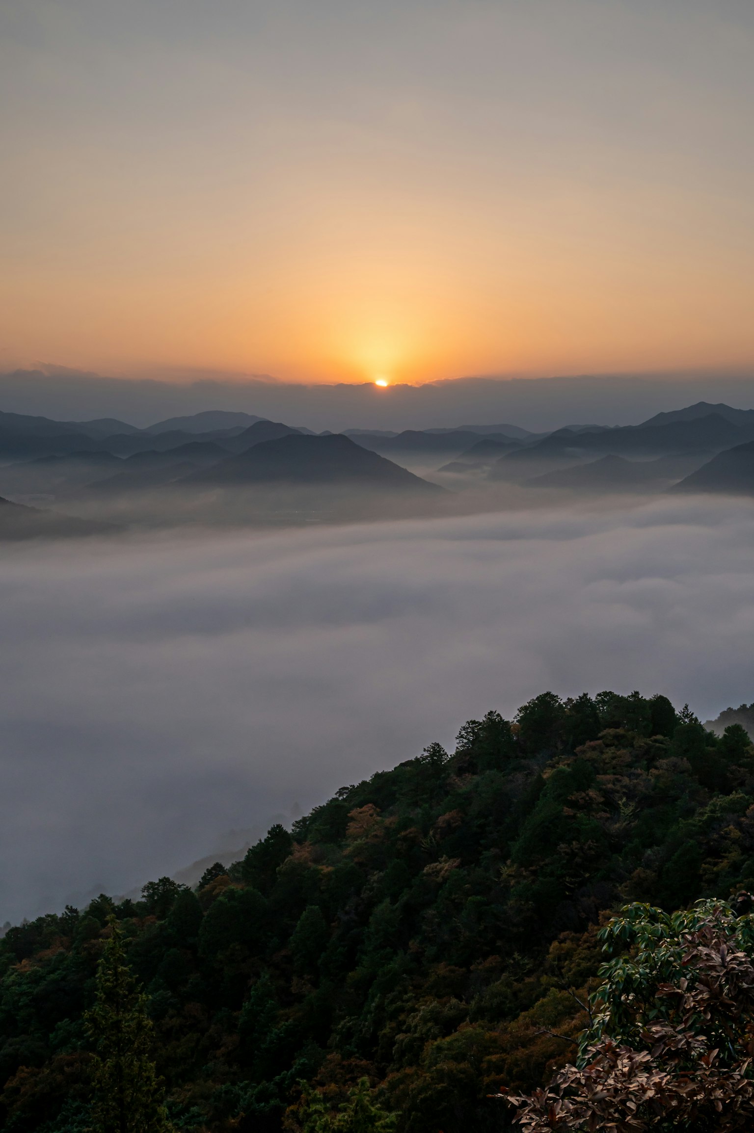 Bellissimo sorgere del sole sulle montagne nebbiose con un paesaggio sereno