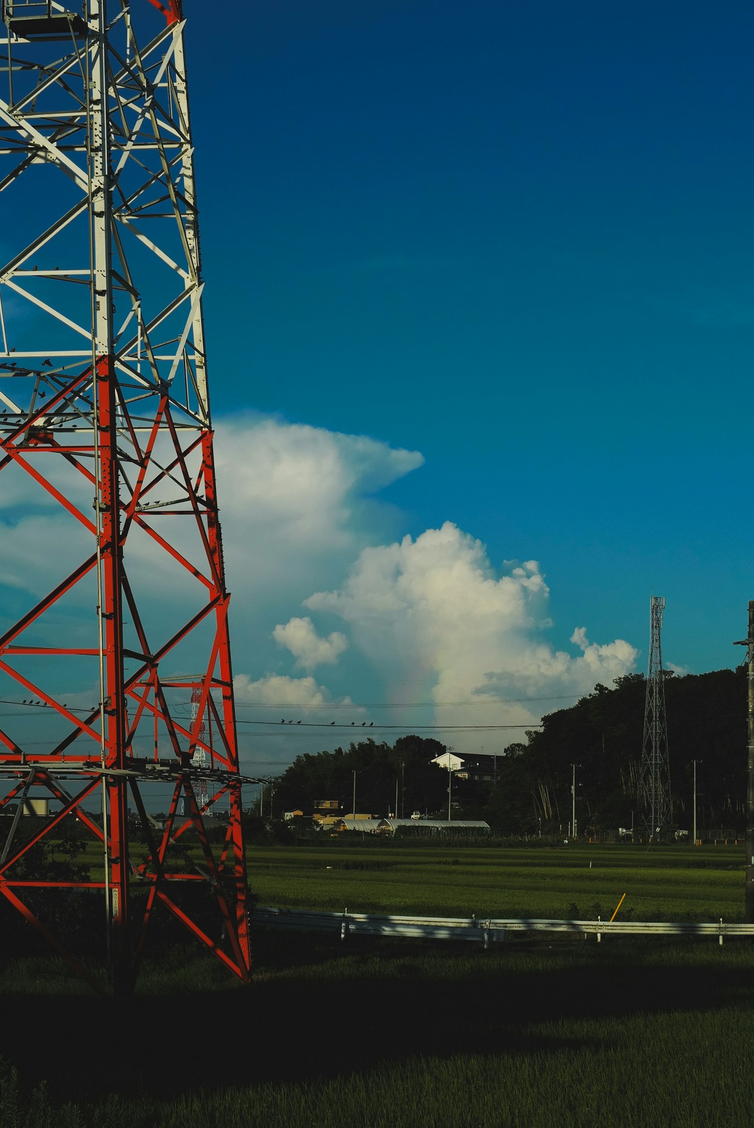 Torre di comunicazione rossa e bianca contro un cielo blu con nuvole e paesaggio verde